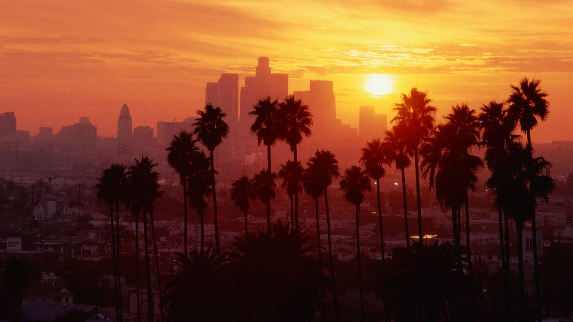 Atardecer de Palmeras en Sunset Boulevard Los Ángeles Fondos de pantalla