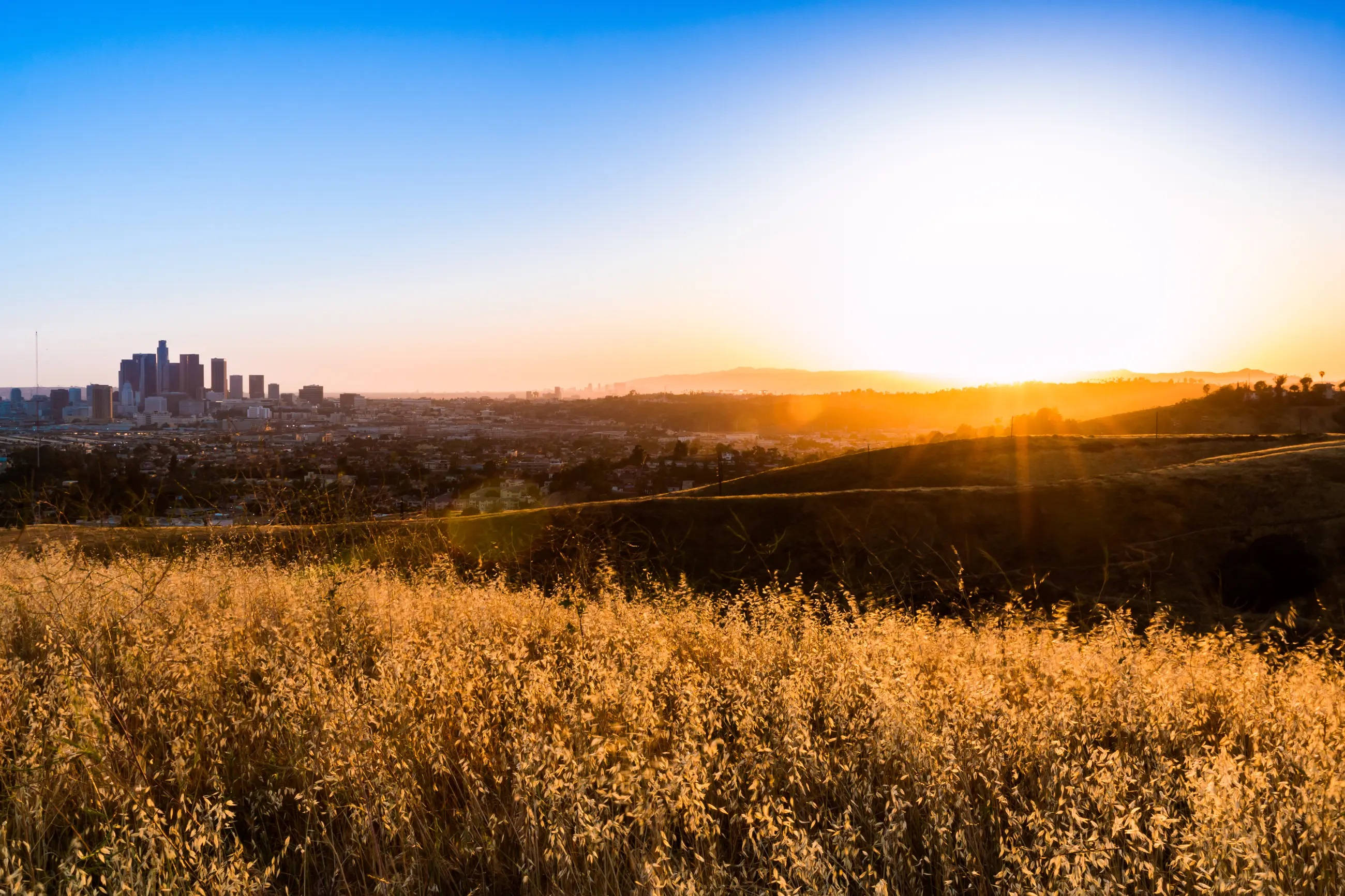 Atardecer en Ascot Hills Los Ángeles Fondos de pantalla