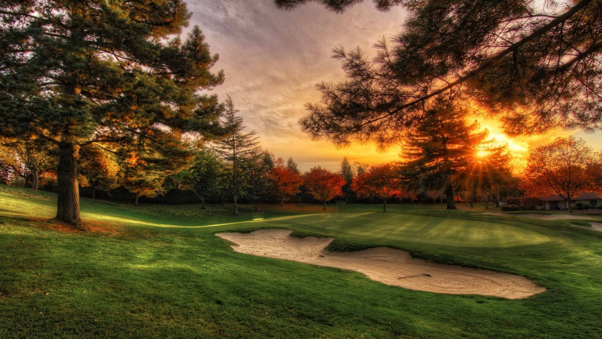 Atardecer en el campo de golf Fondos de pantalla