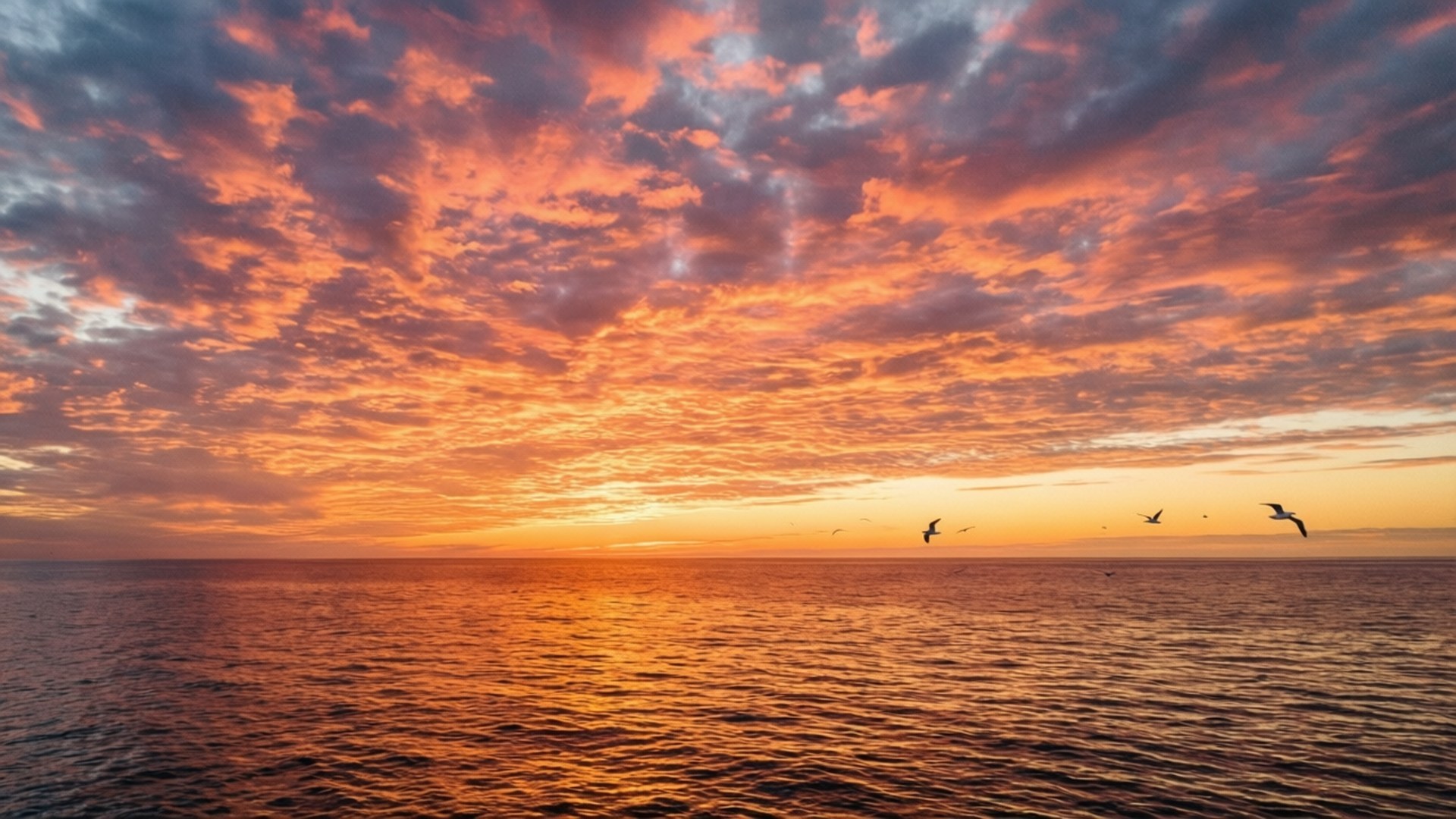 Atardecer en el cielo del océano Fondos de pantalla