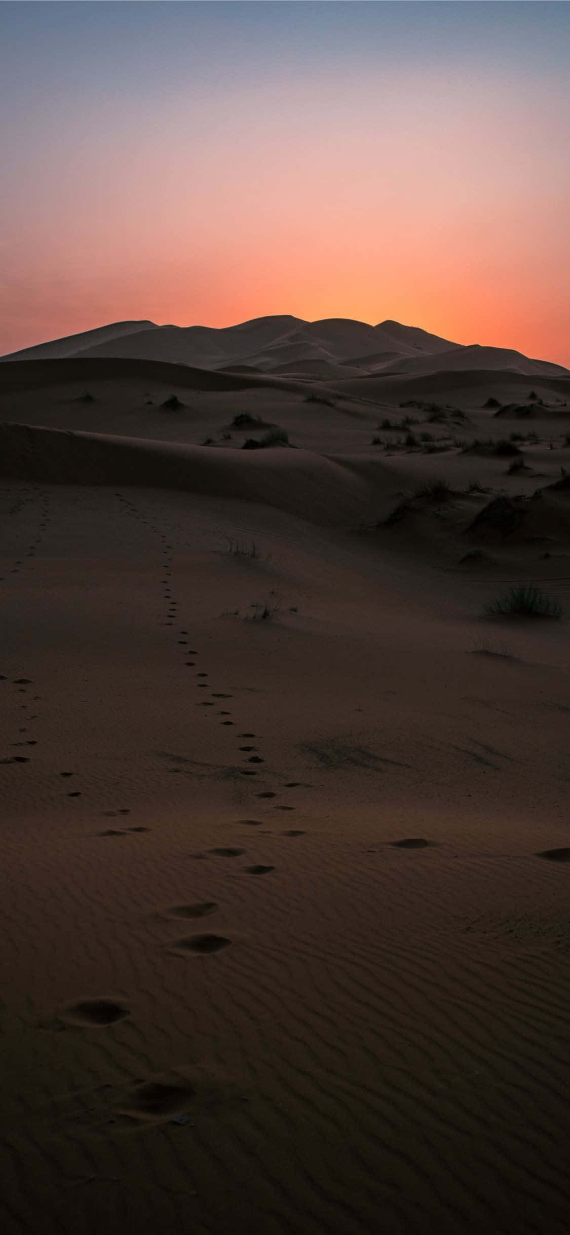 Atardecer en el desierto para iPhone Fondos de pantalla