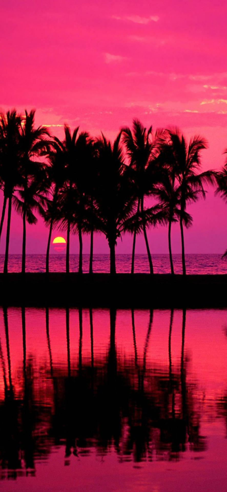 Fondo de pantalla de atardecer en la playa para Samsung Galaxy S22 — Samsung galaxy s22 GIF Fondos de pantalla