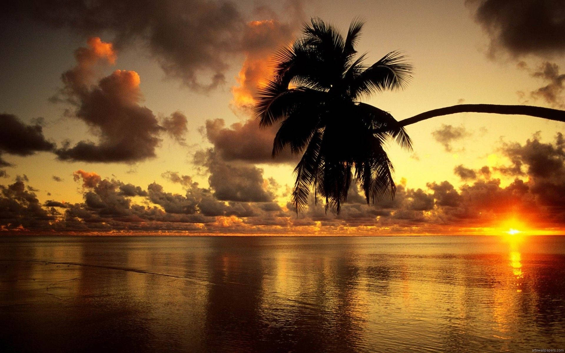 Atardecer en la playa para escritorio de computadora Full HD Fondos de pantalla