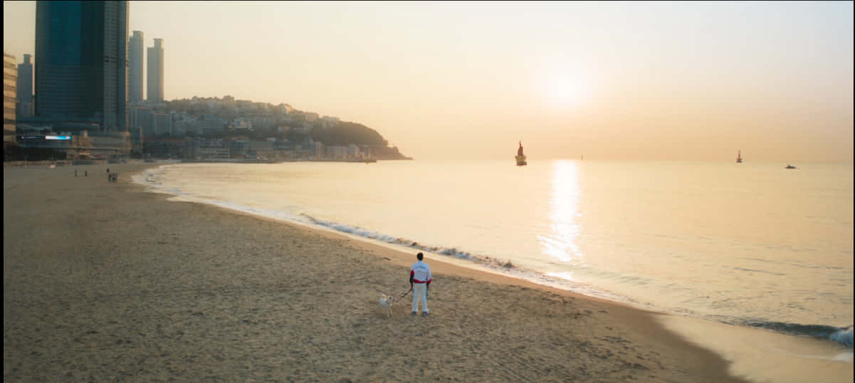 Atardecer en la Playa Urbana Fondos de pantalla