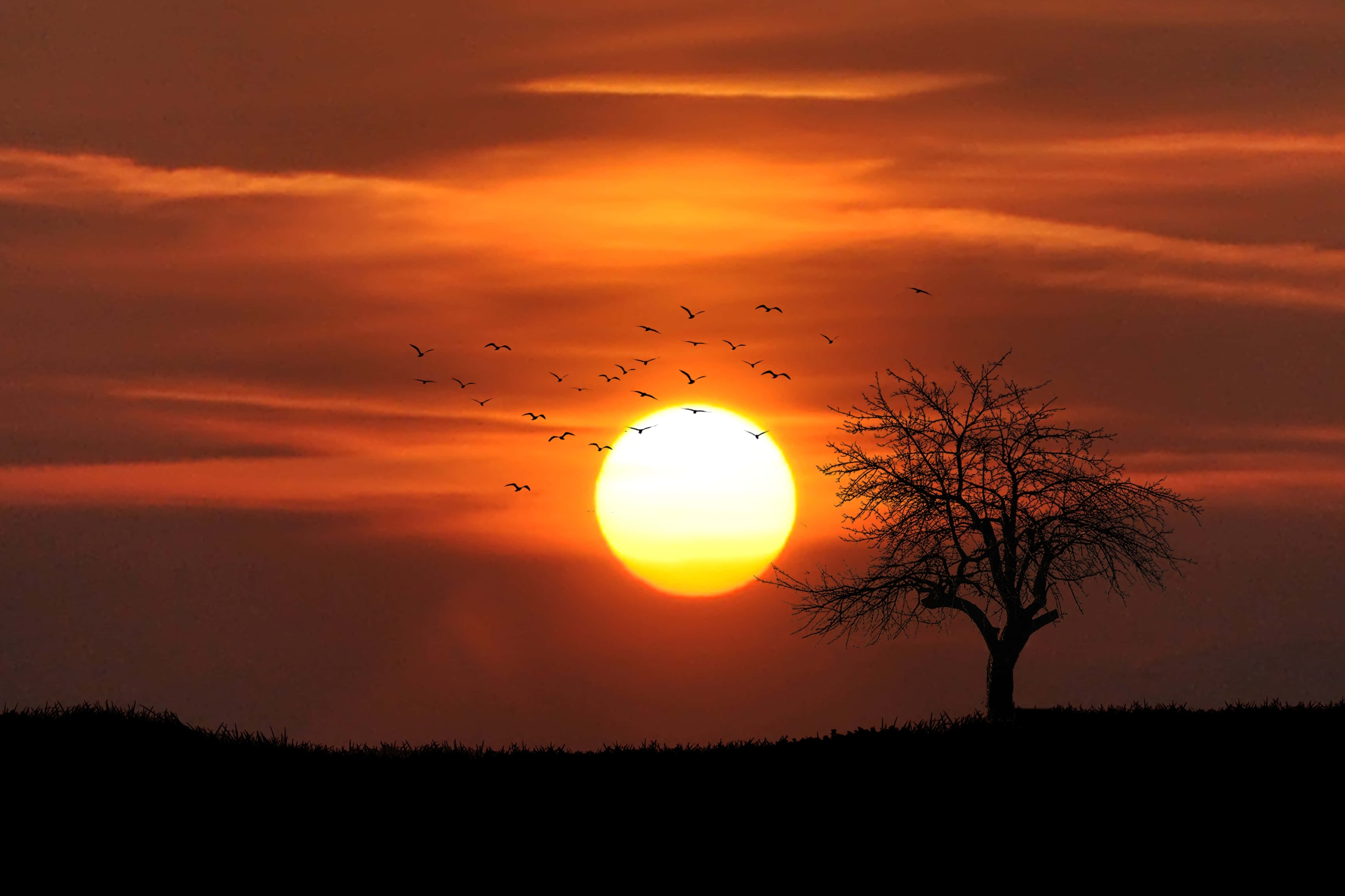 Atardecer Mágico Fondos de pantalla