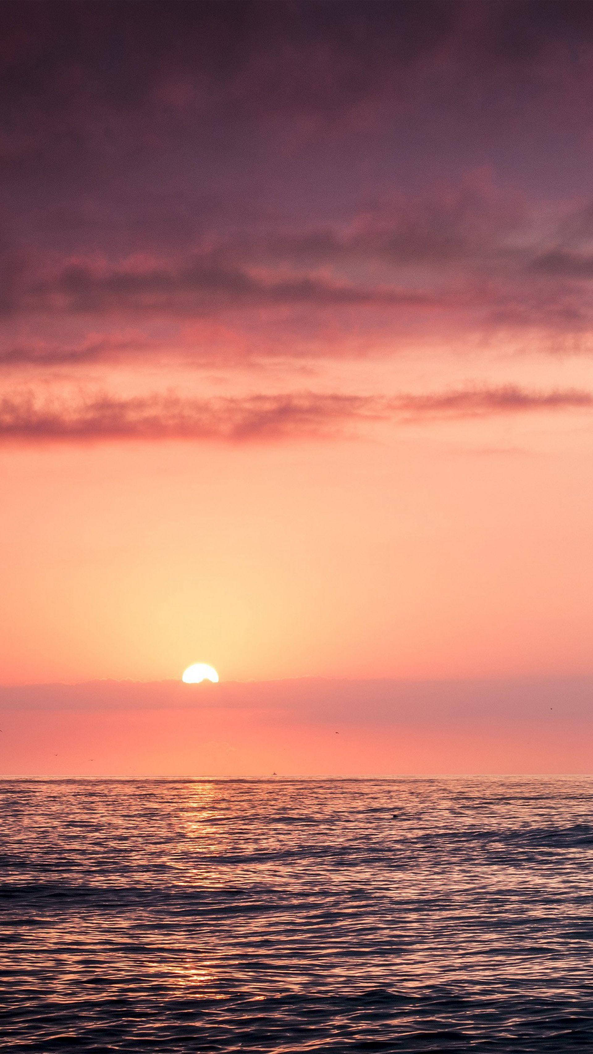 Atardecer nublado rosa en el océano Fondos de pantalla
