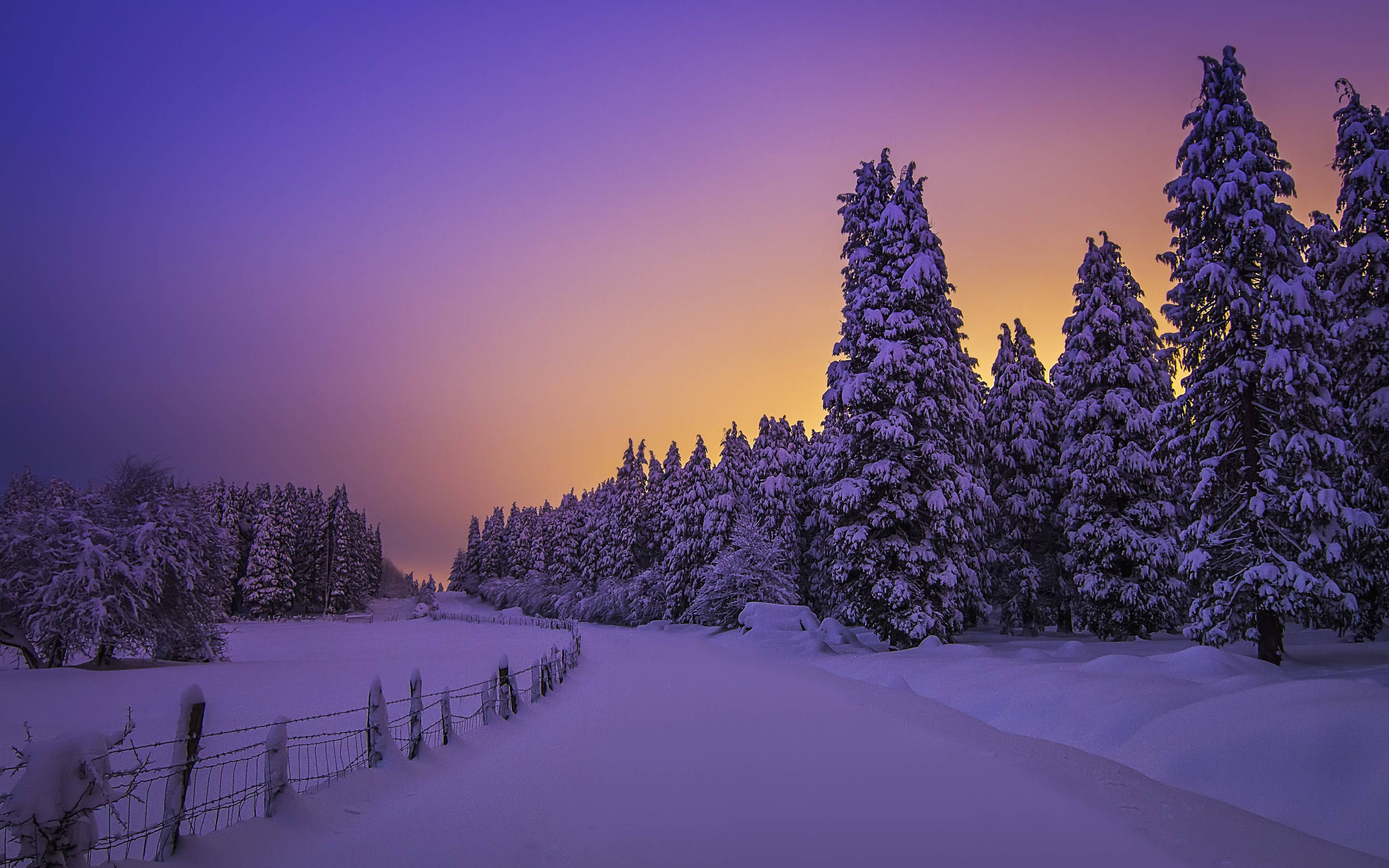 Atardecer Púrpura Invernal Estético Fondos de pantalla
