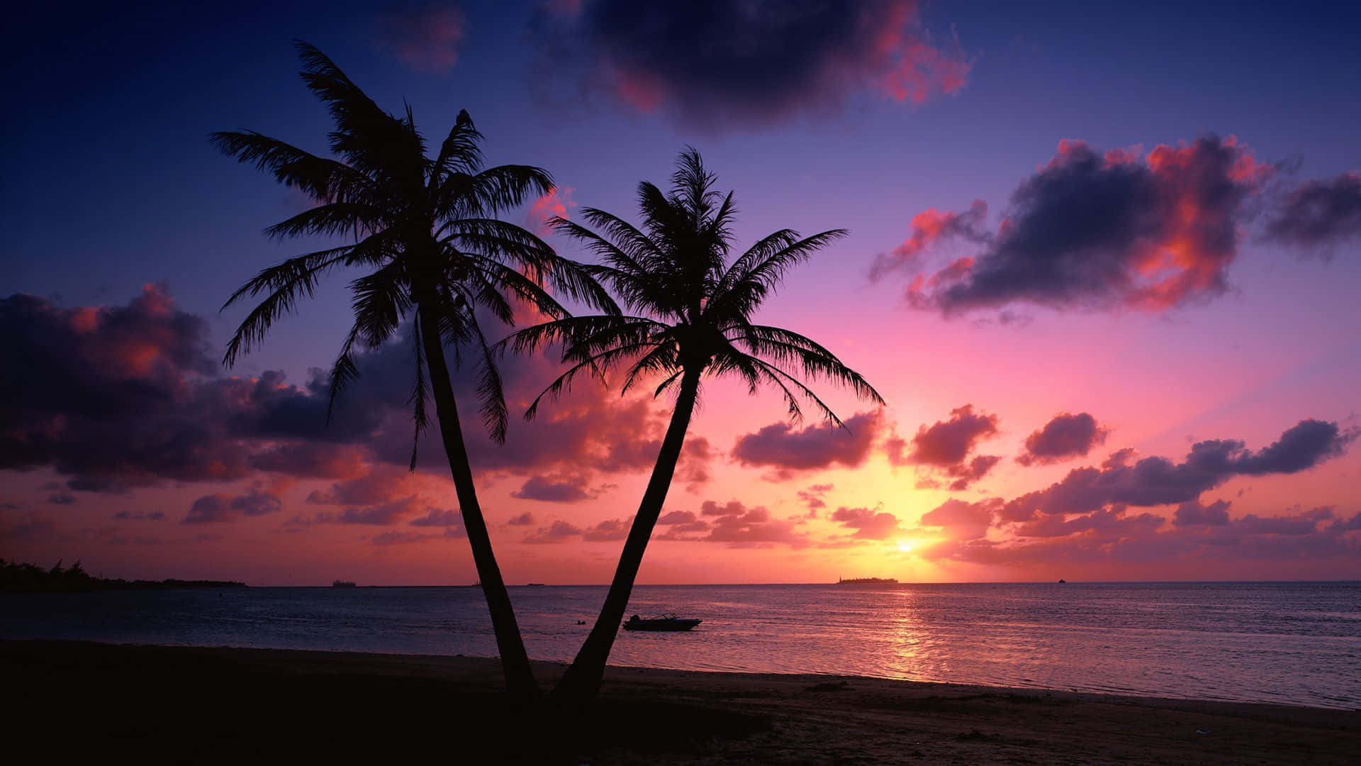 "Atardecer relajante en una playa tropical" Fondos de pantalla