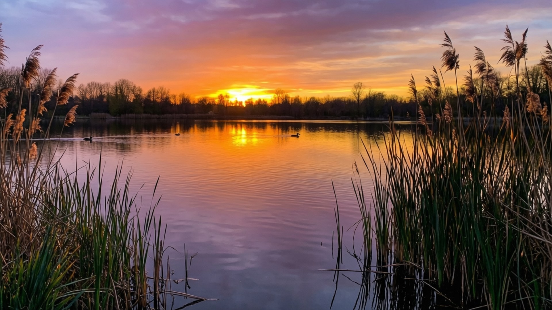 Atardecer Tranquilo en el Lago Fondos de pantalla