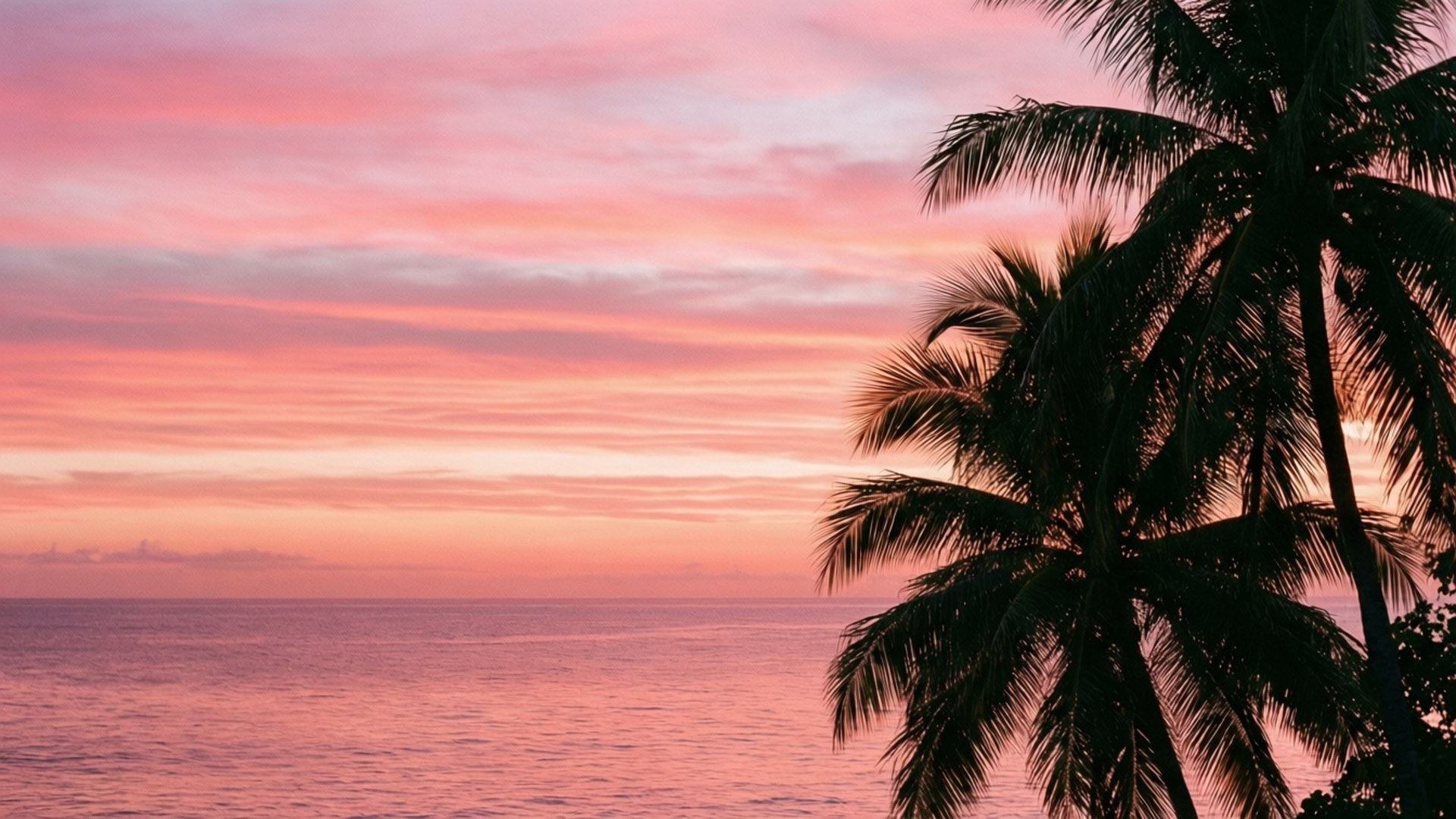 Atardecer Tropical Pastel Fondos de pantalla