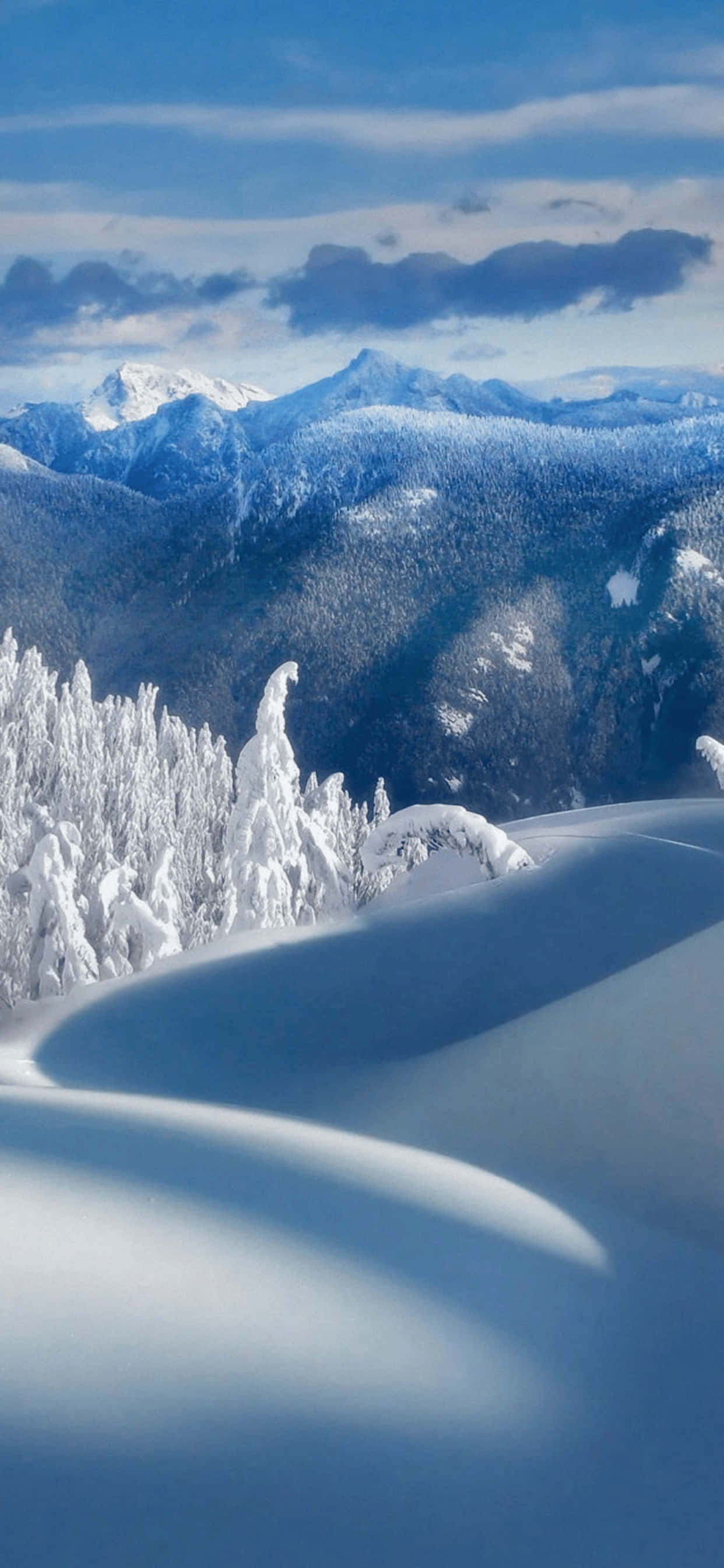 Atractivo Fondo de Paraíso Invernal para iPhone XS Max Fondos de pantalla
