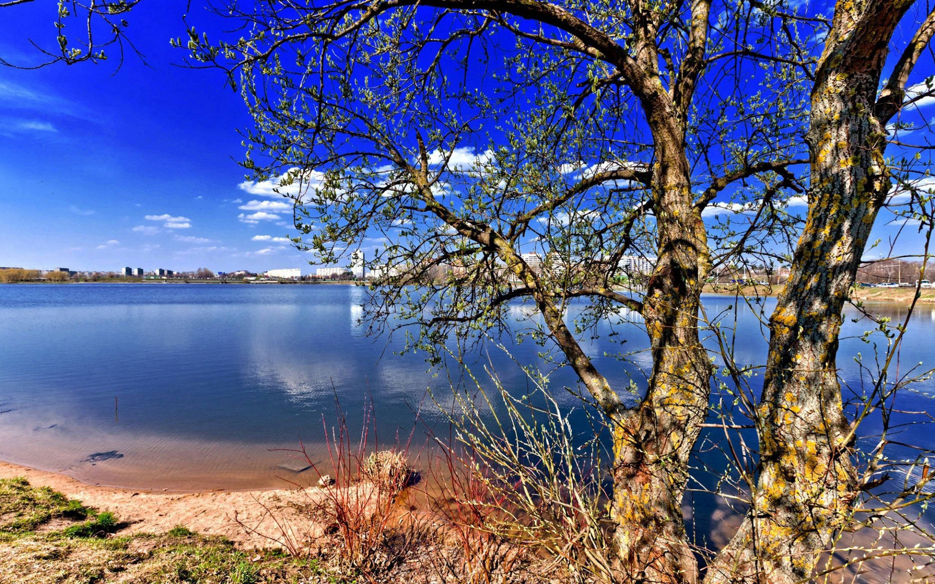 Fondo de pantalla de Atractivo Lago Natural