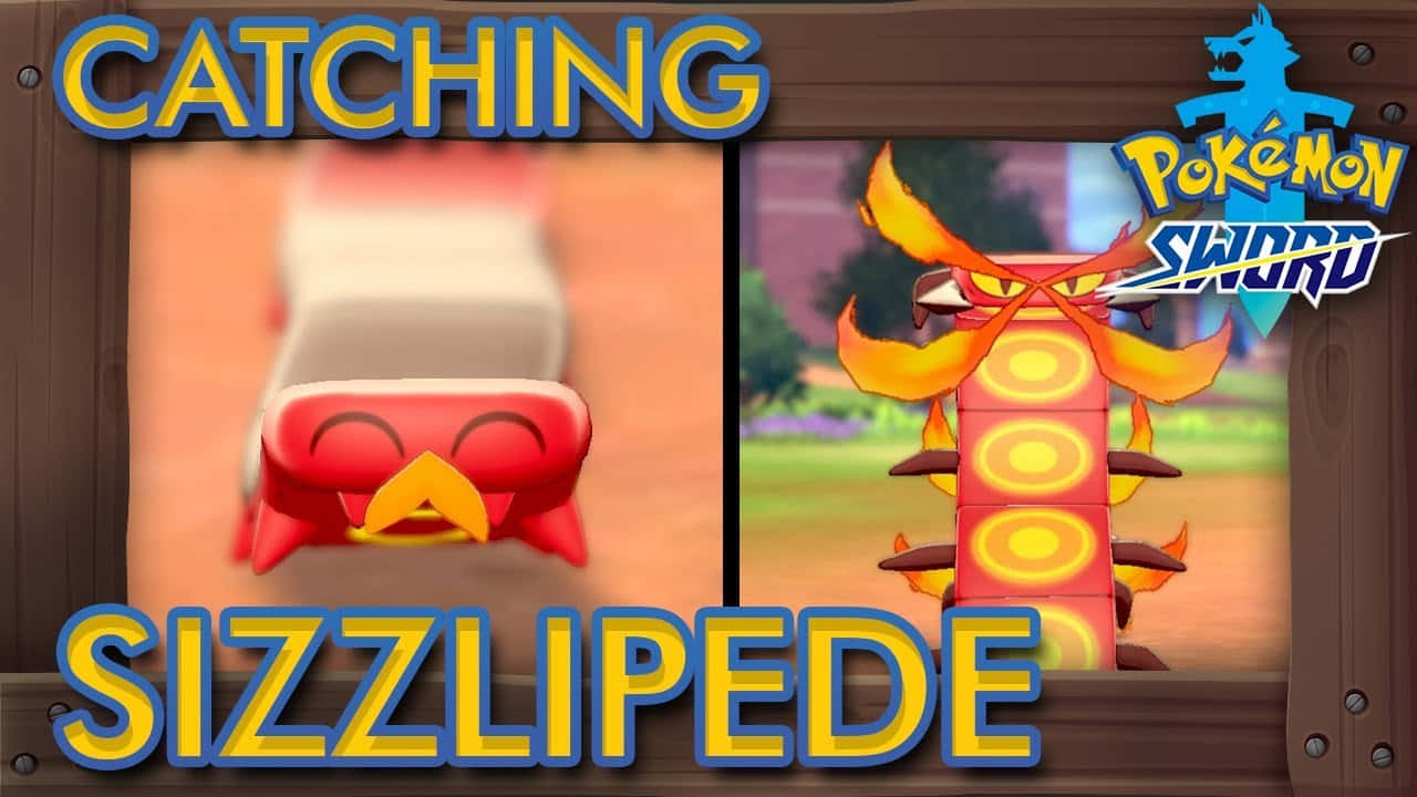 Atrapando a Sizzlipede Fondos de pantalla