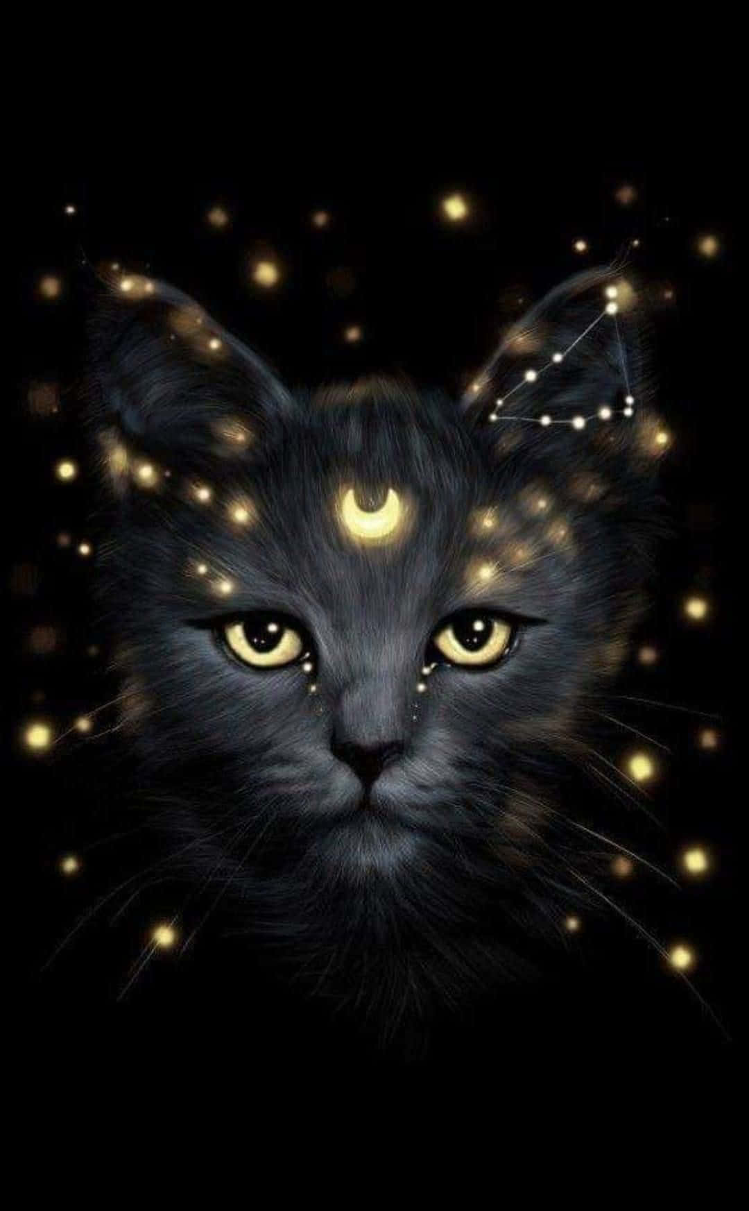 Aventúrate en el universo con Galaxy Cat Fondos de pantalla