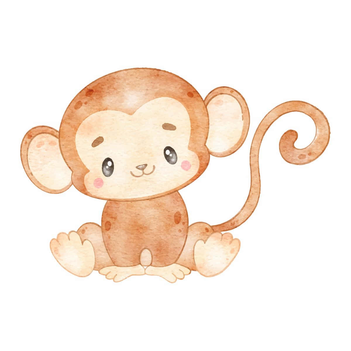 ¡Ay, mira qué bonito es ese monito! Fondos de pantalla