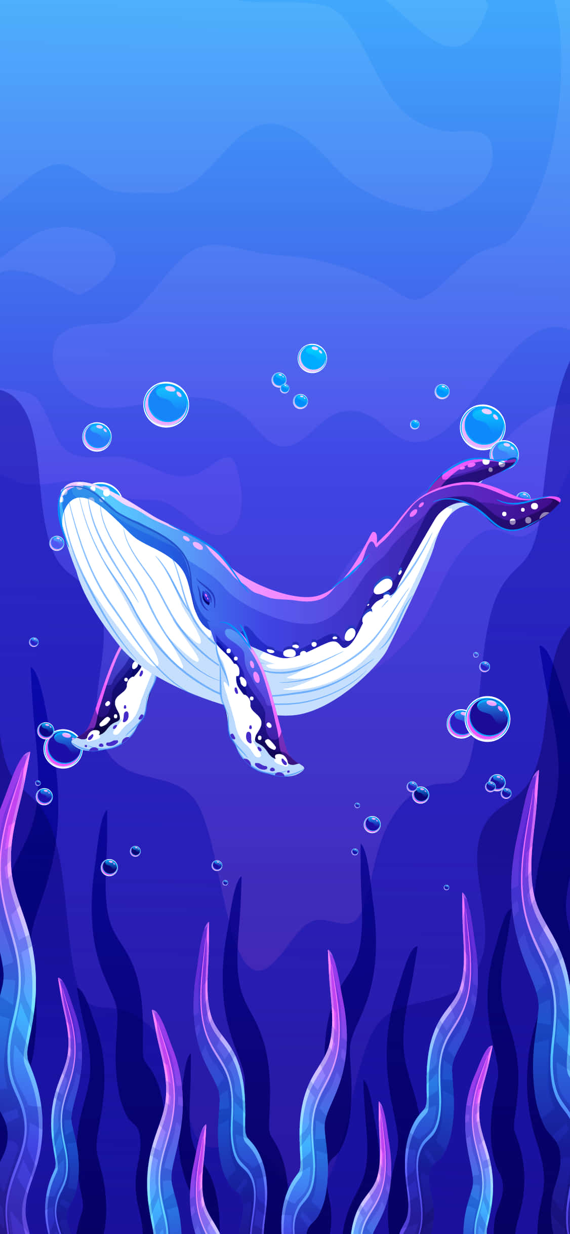 Ballena Azul Bajo el Océano Arte Digital Fondos de pantalla