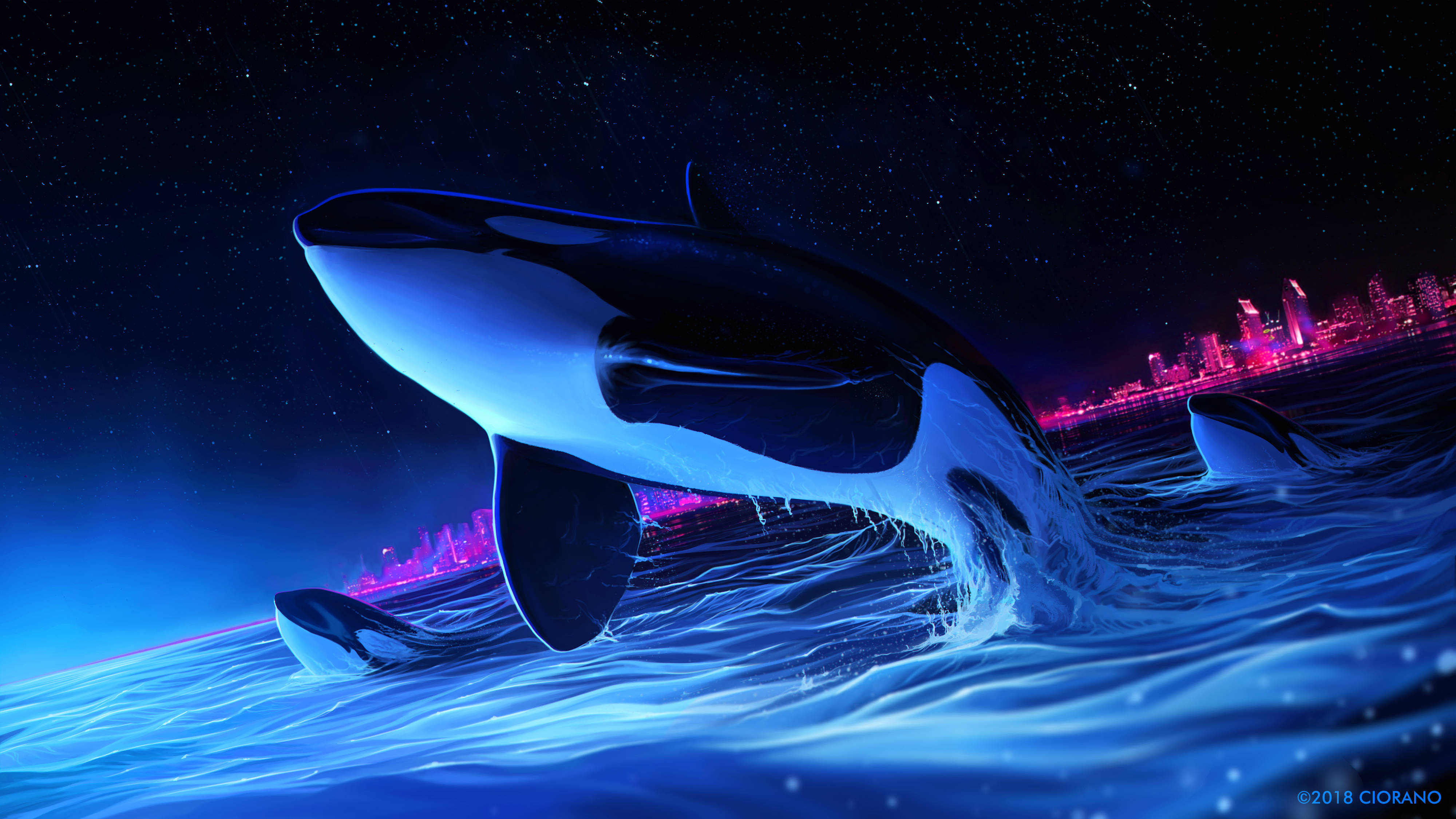 Ballena cautivadora saltando en oscuridad 4K Fondos de pantalla