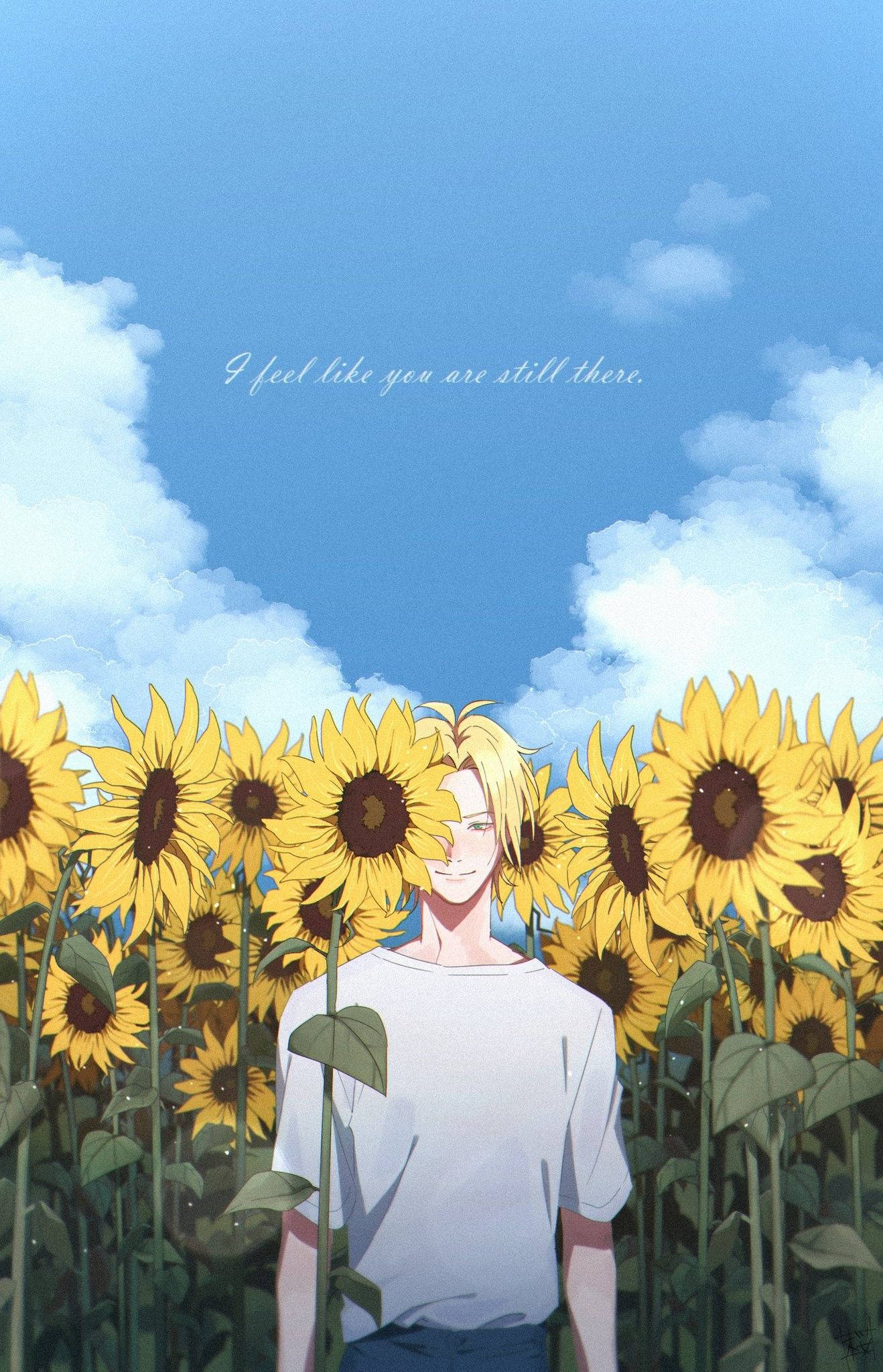 Banana Fish Ash Lynx Girasol Fondos de pantalla