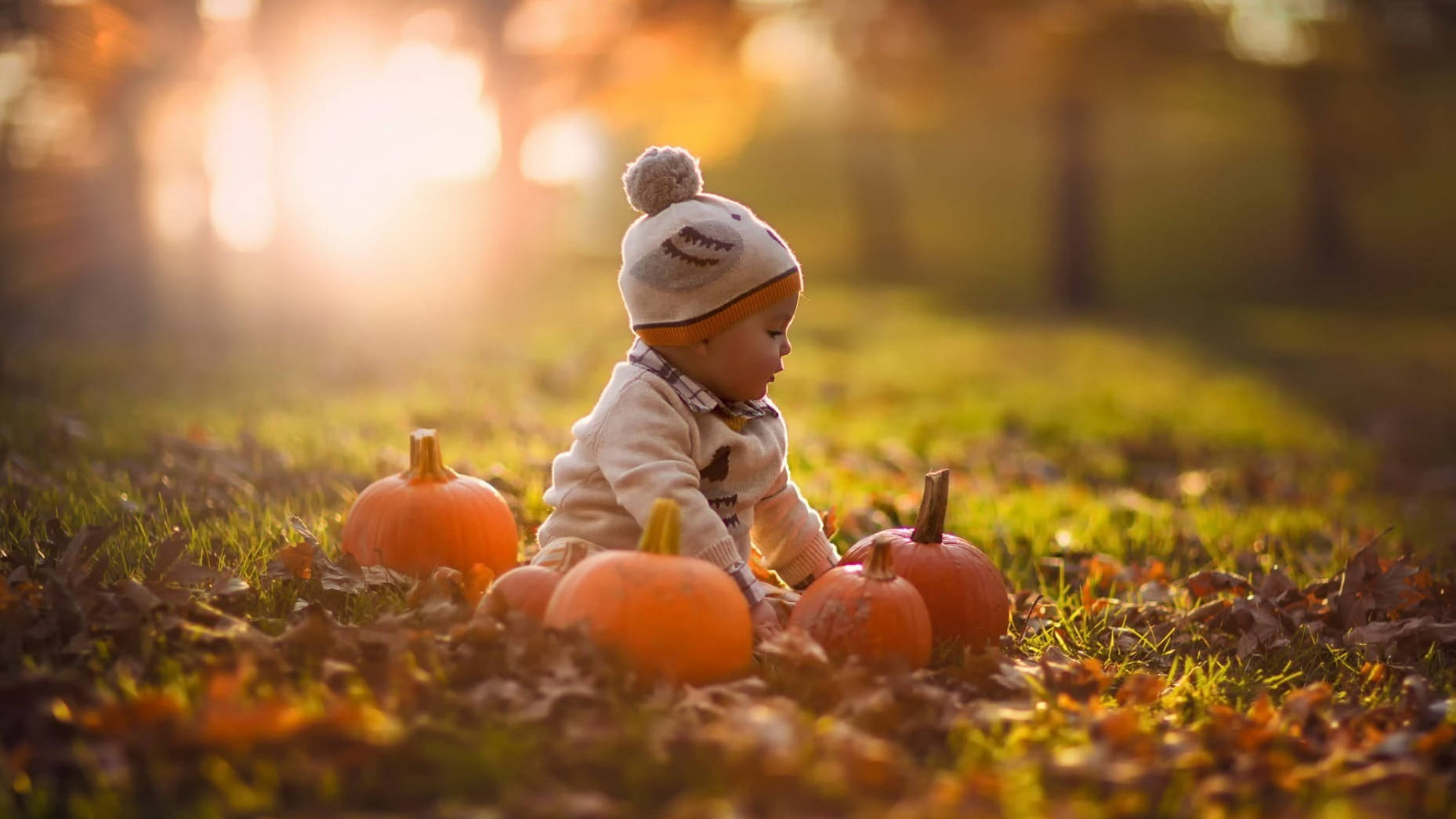 Bebé adorable de Halloween en el parque Fondos de pantalla