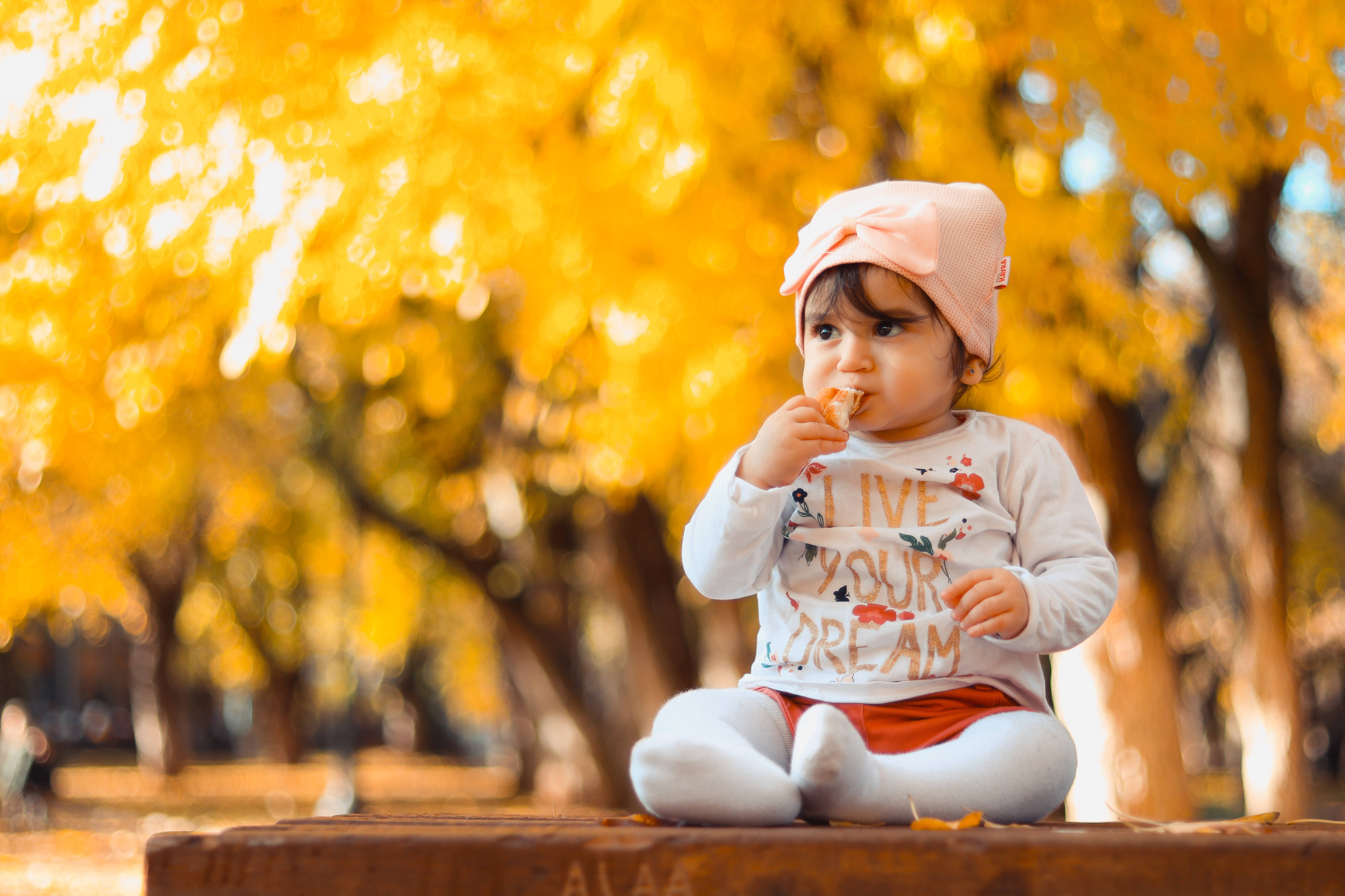 Bebé lindo de otoño chupando caramelo Fondos de pantalla