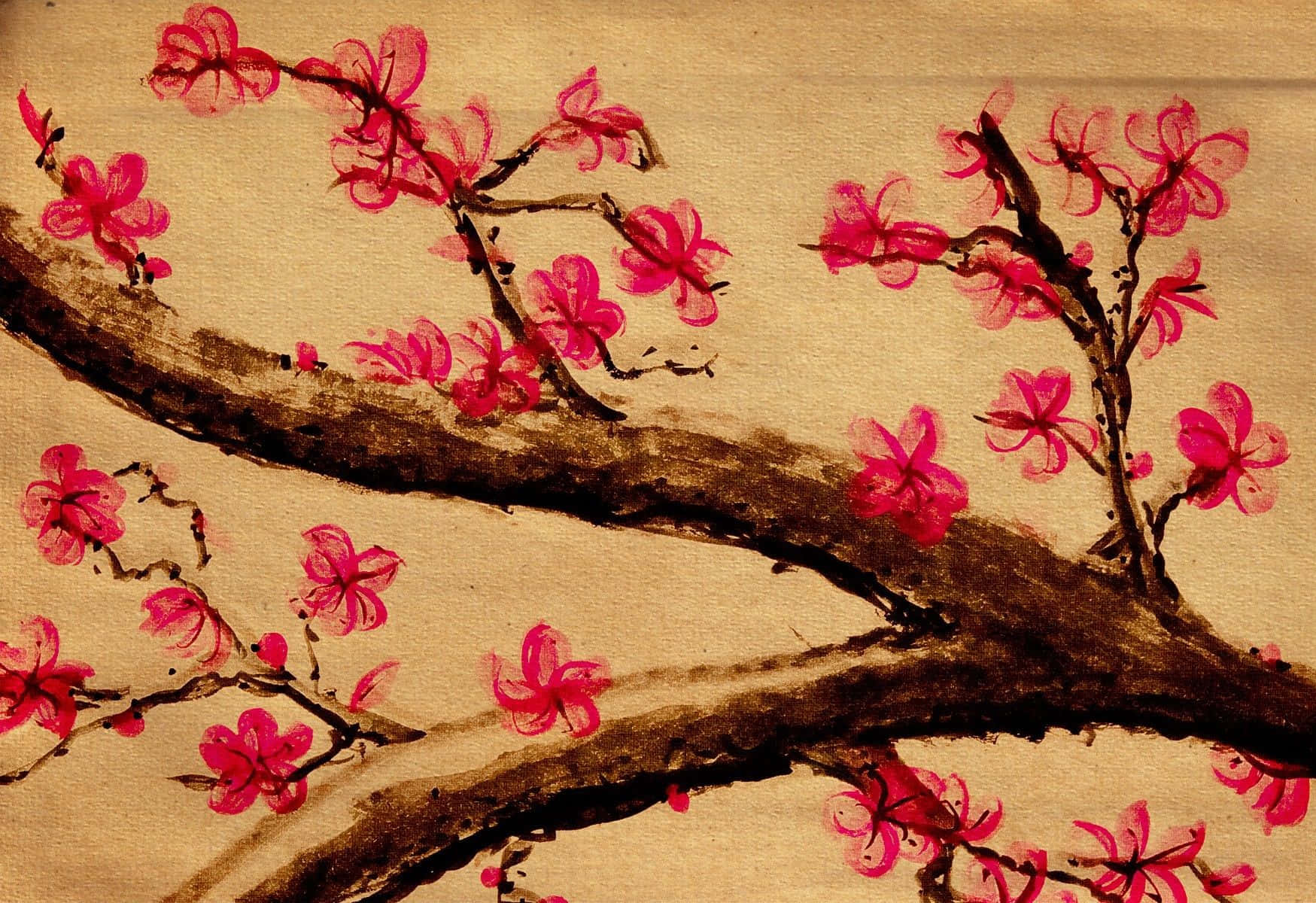 Belleza Floreciente - Fondo Floral Estético Fondos de pantalla