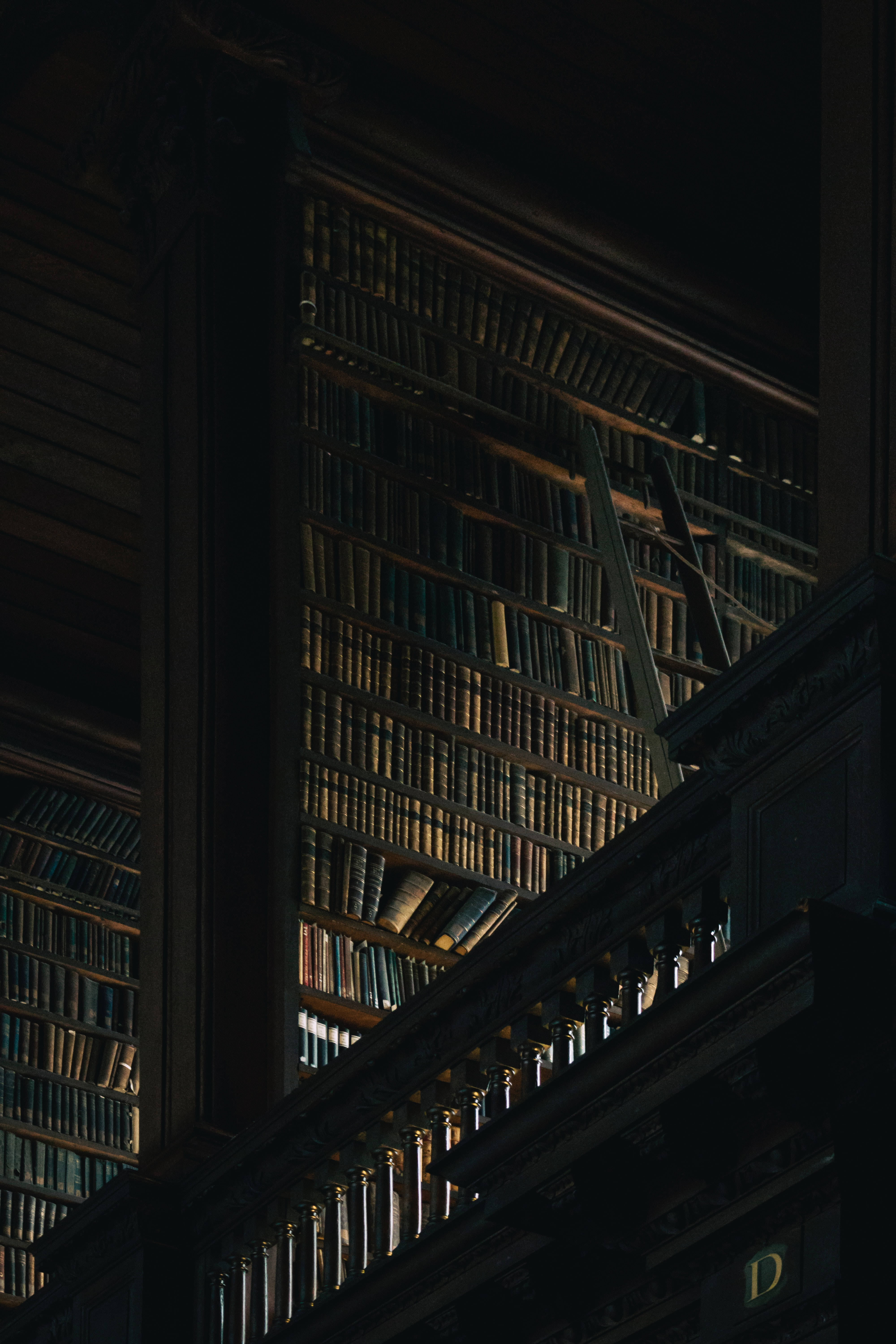 Biblioteca oscura estética Fondos de pantalla