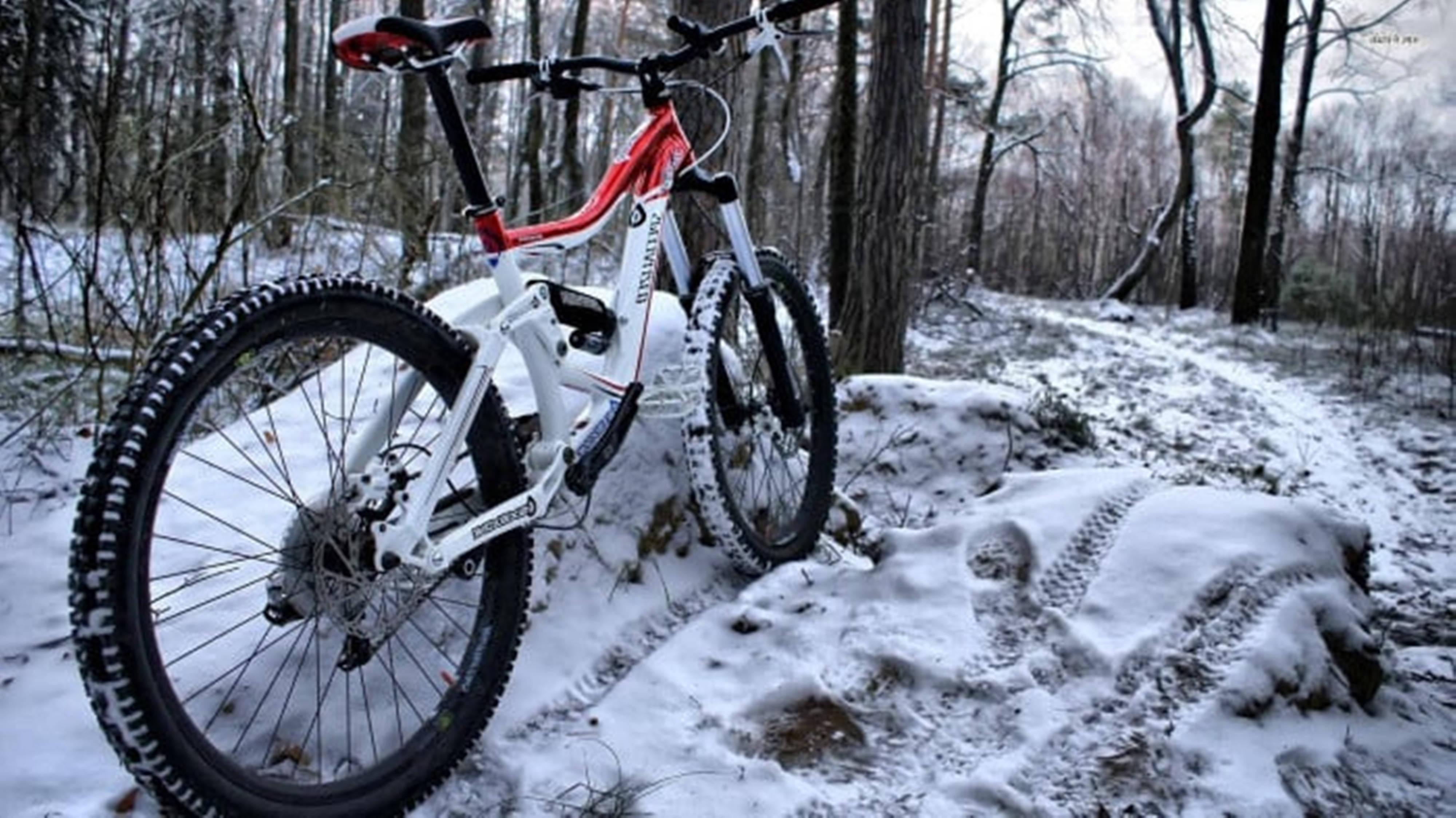 Bicicleta de montaña 4K en bosque nevado Fondos de pantalla
