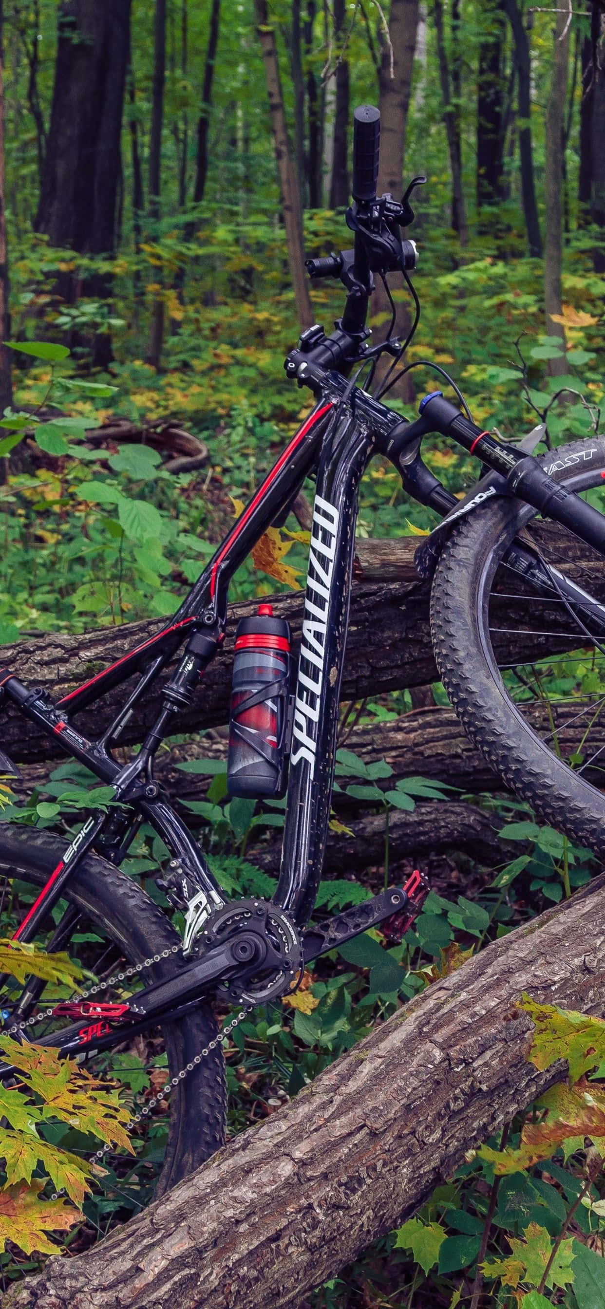 Bicicleta de montaña en bosque para iPhone Fondos de pantalla