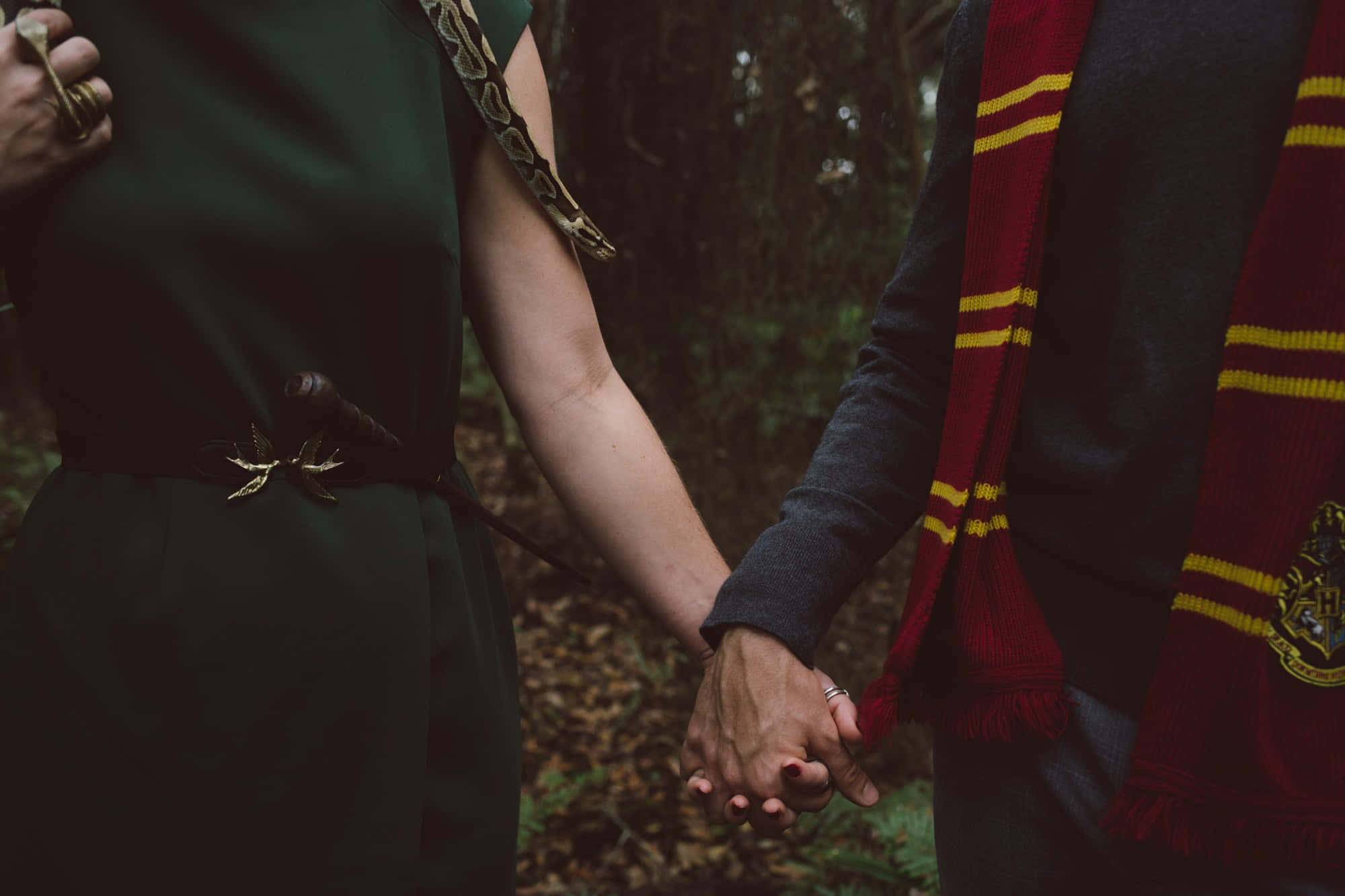 "Bienvenido a la estética Slytherin, ¡abraza tu serpiente interior!" Fondos de pantalla