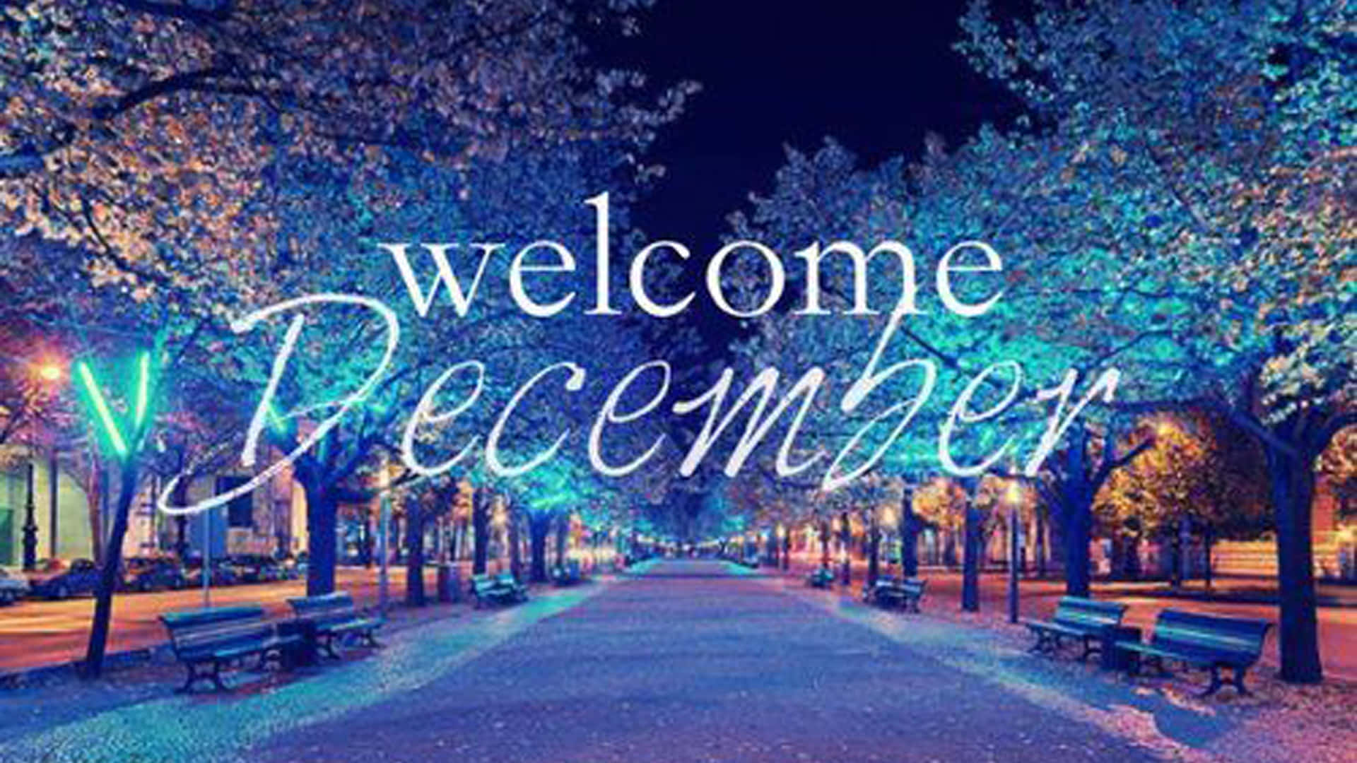 Bienvenido Diciembre Luces Festivas de Árbol de Navidad Fondos de pantalla