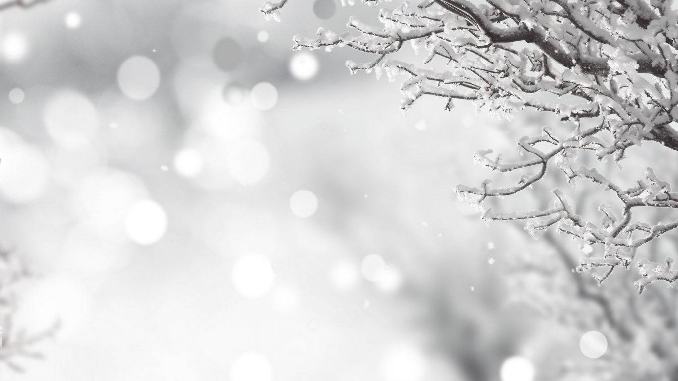 Fondo de pantalla de Blanca Navidad en Invierno