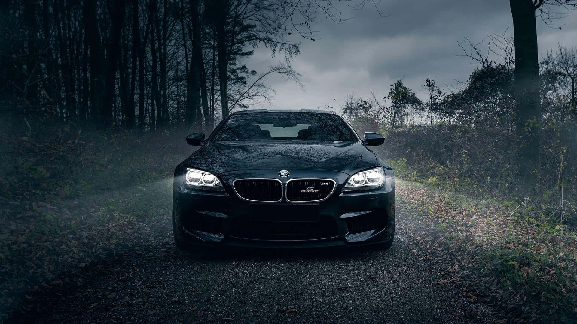 BMW 1920x1080 Conduciendo de Noche en el Bosque Fondos de pantalla