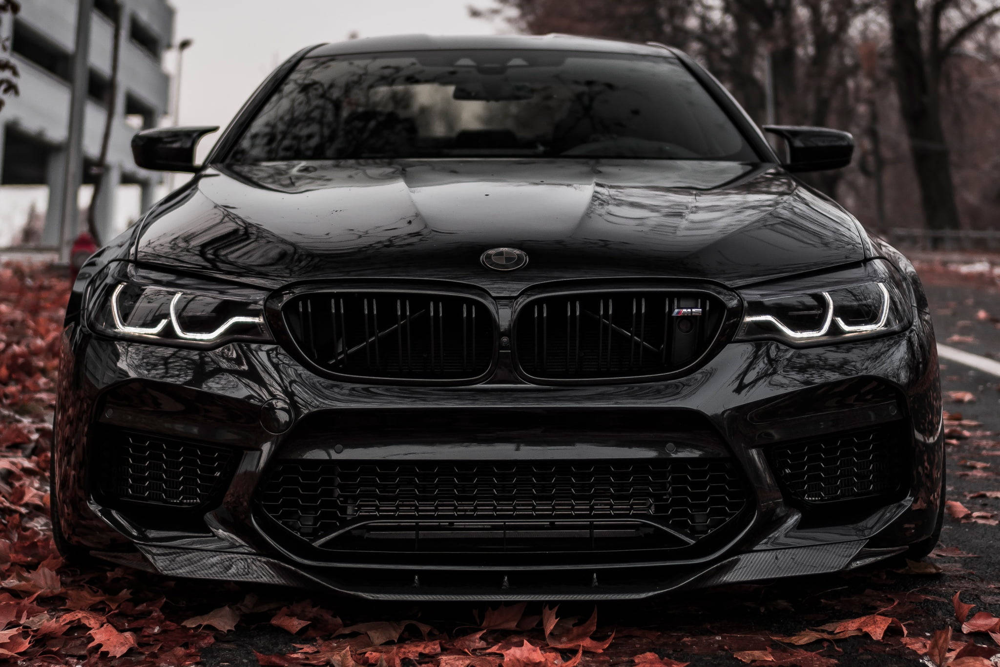 BMW M5 Negro Brillante para Laptop Fondos de pantalla