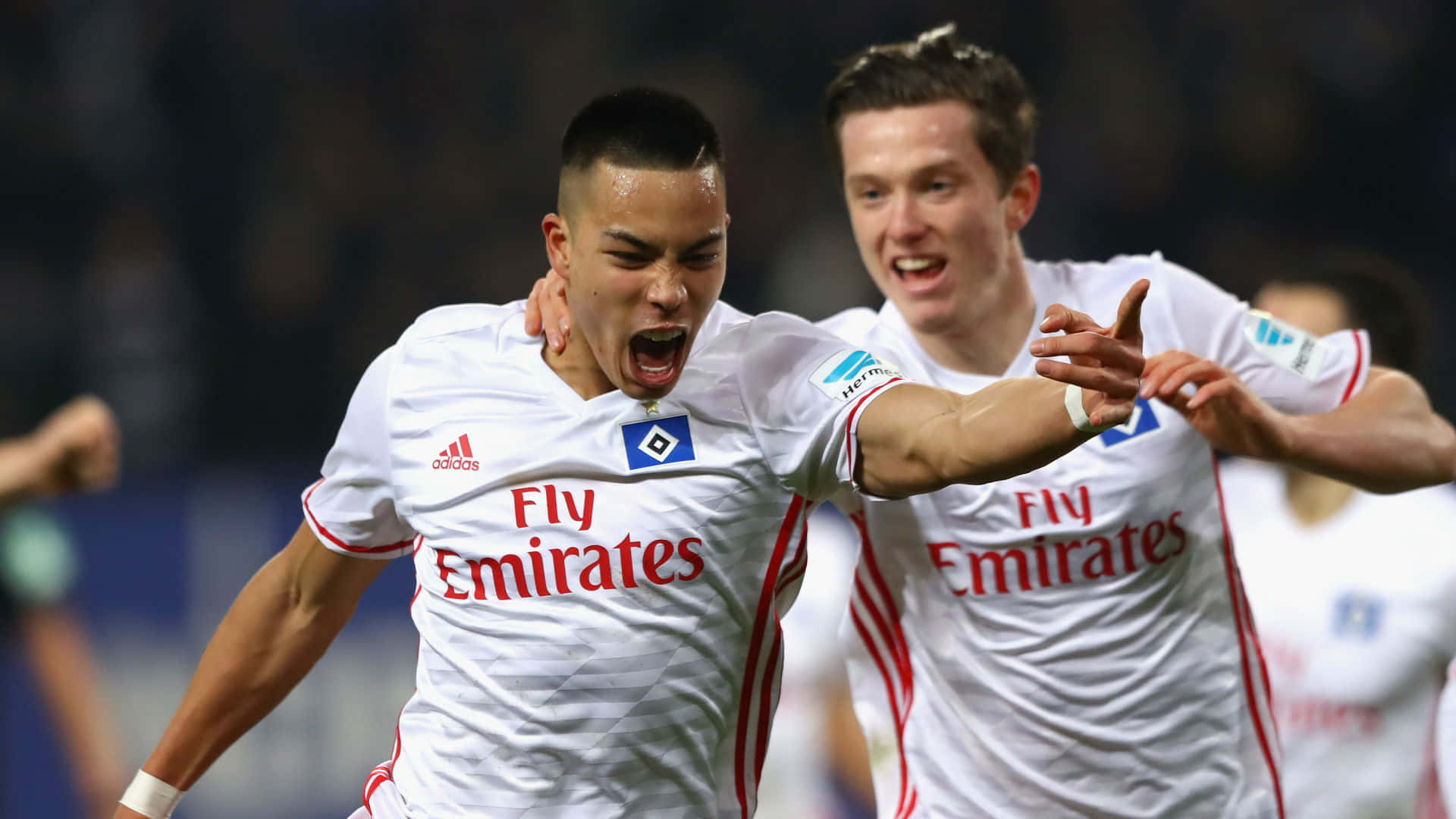Bobby Wood y Michael Gregoritsch durante partido de la Bundesliga Fondos de pantalla