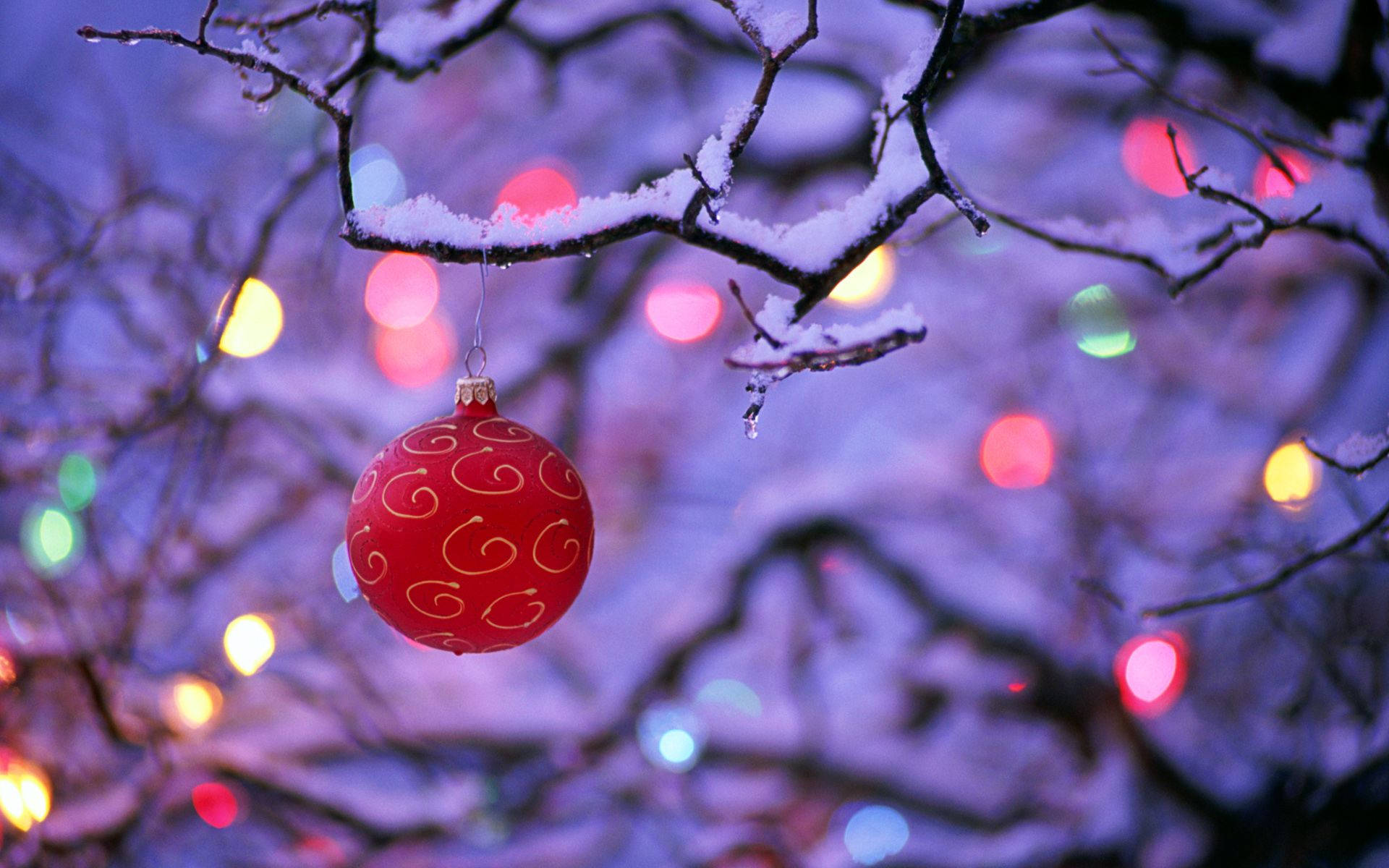 Bola Roja Estética de Nieve Fondos de pantalla