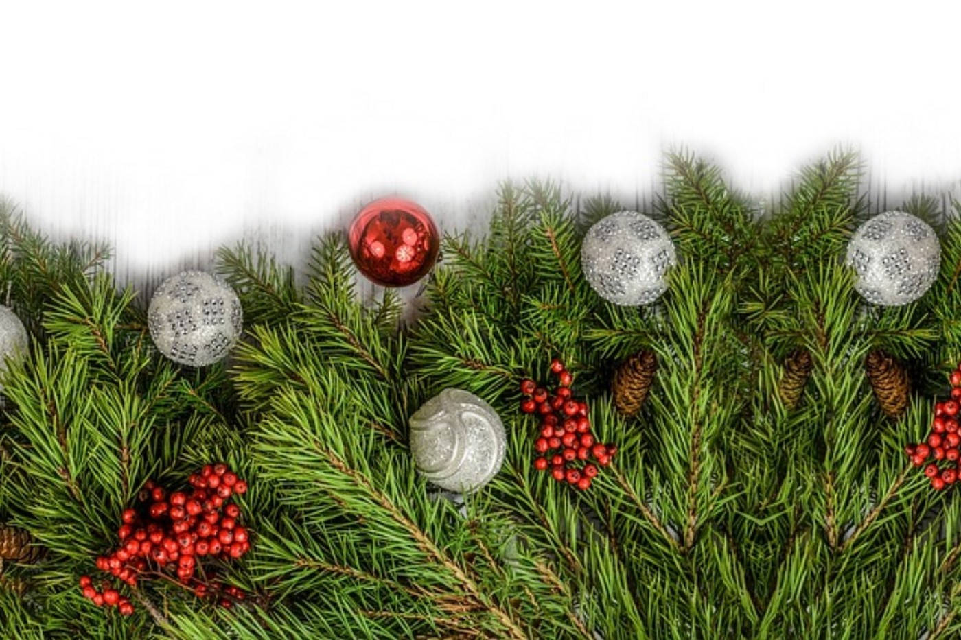 Bolas navideñas simples en pino Fondos de pantalla