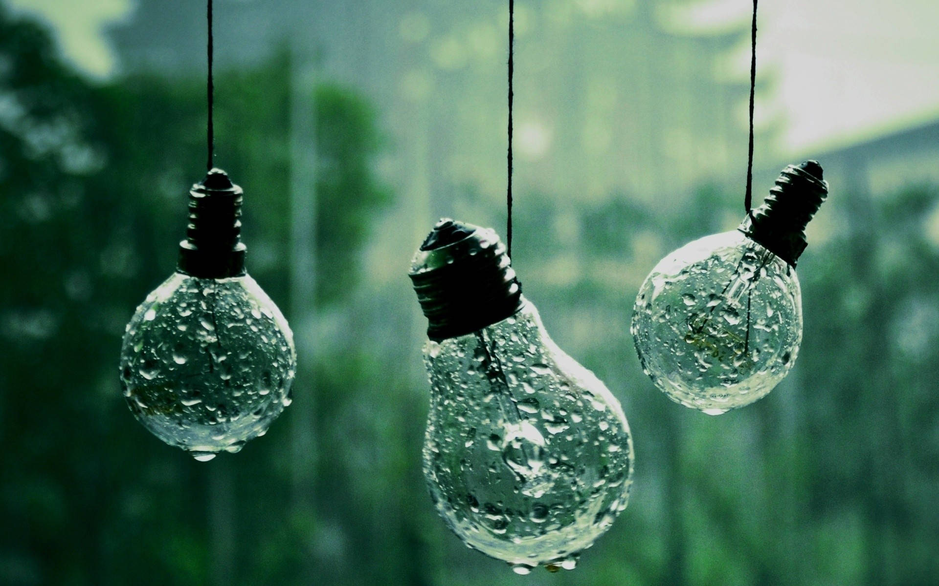 Bombillas de Luz Neblinosas Fondos de pantalla