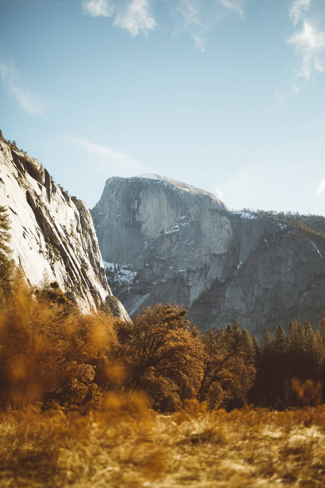 Bosque de iPad Pro cerca de Montañas Rocosas Fondos de pantalla