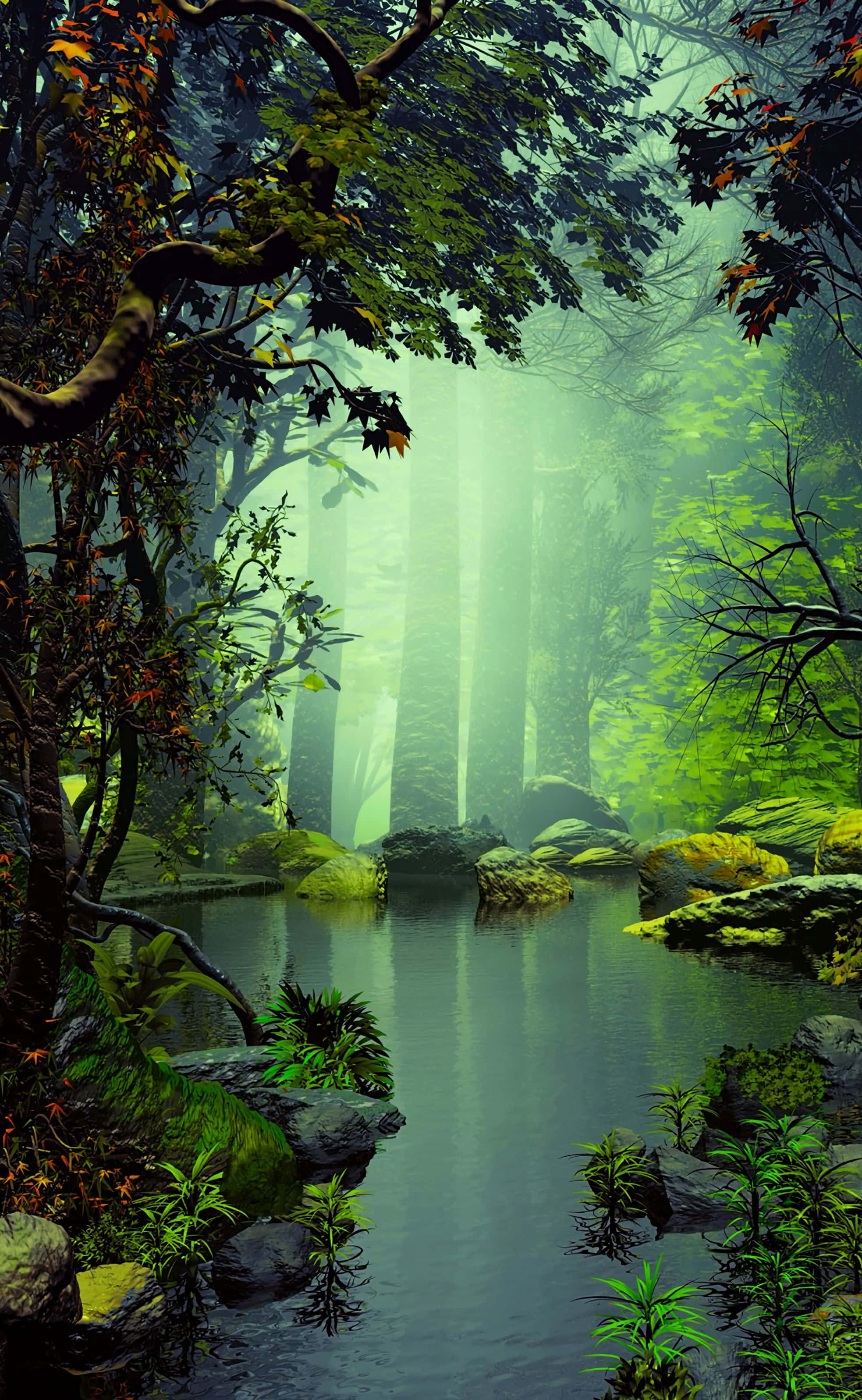 Bosque encantador naturaleza Android HD Fondos de pantalla