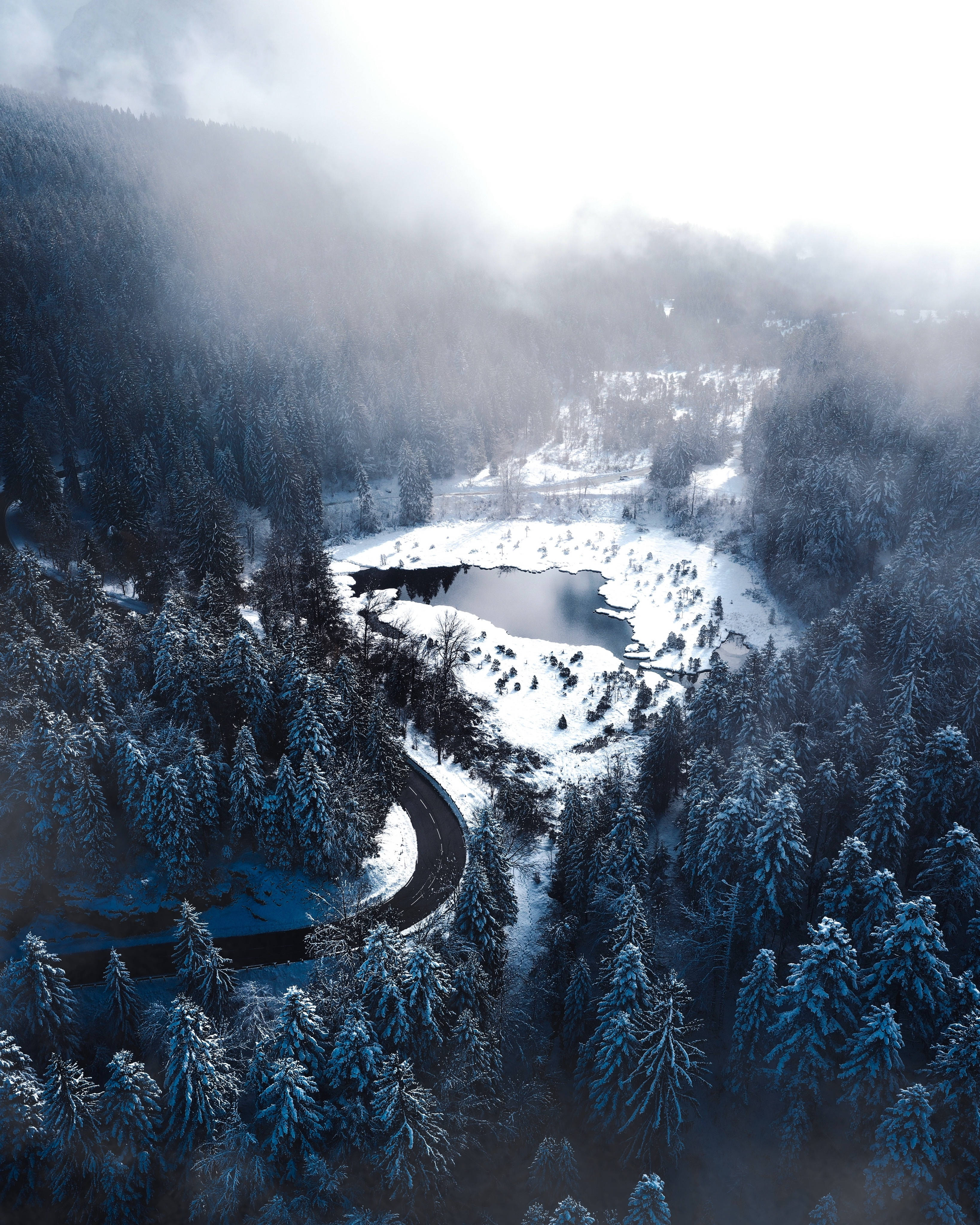 Bosque Invernal y Lago Fondos de pantalla