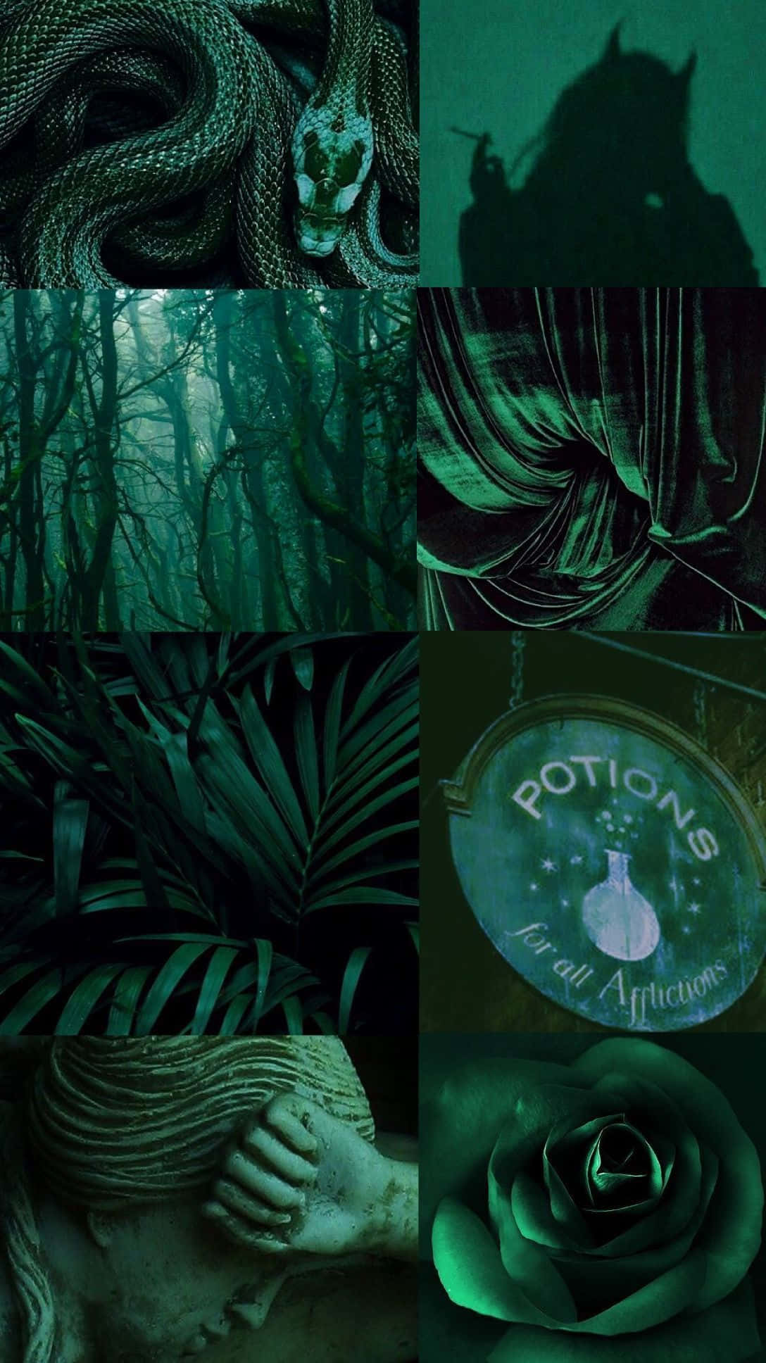 Bosque Misterioso Verde Oscuro Fondos de pantalla