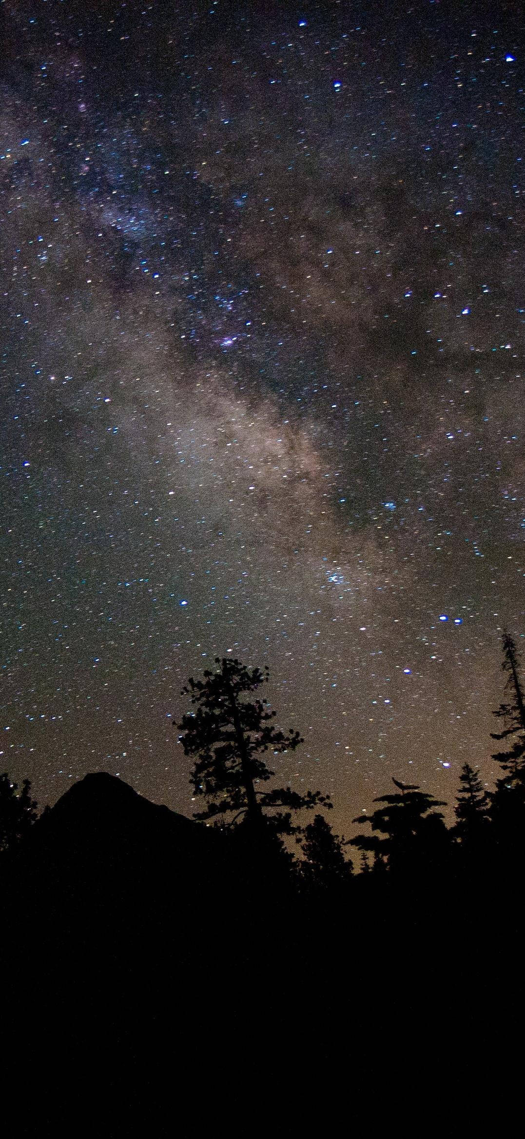 Bosque Montañoso Galaxia Bonita Fondos de pantalla