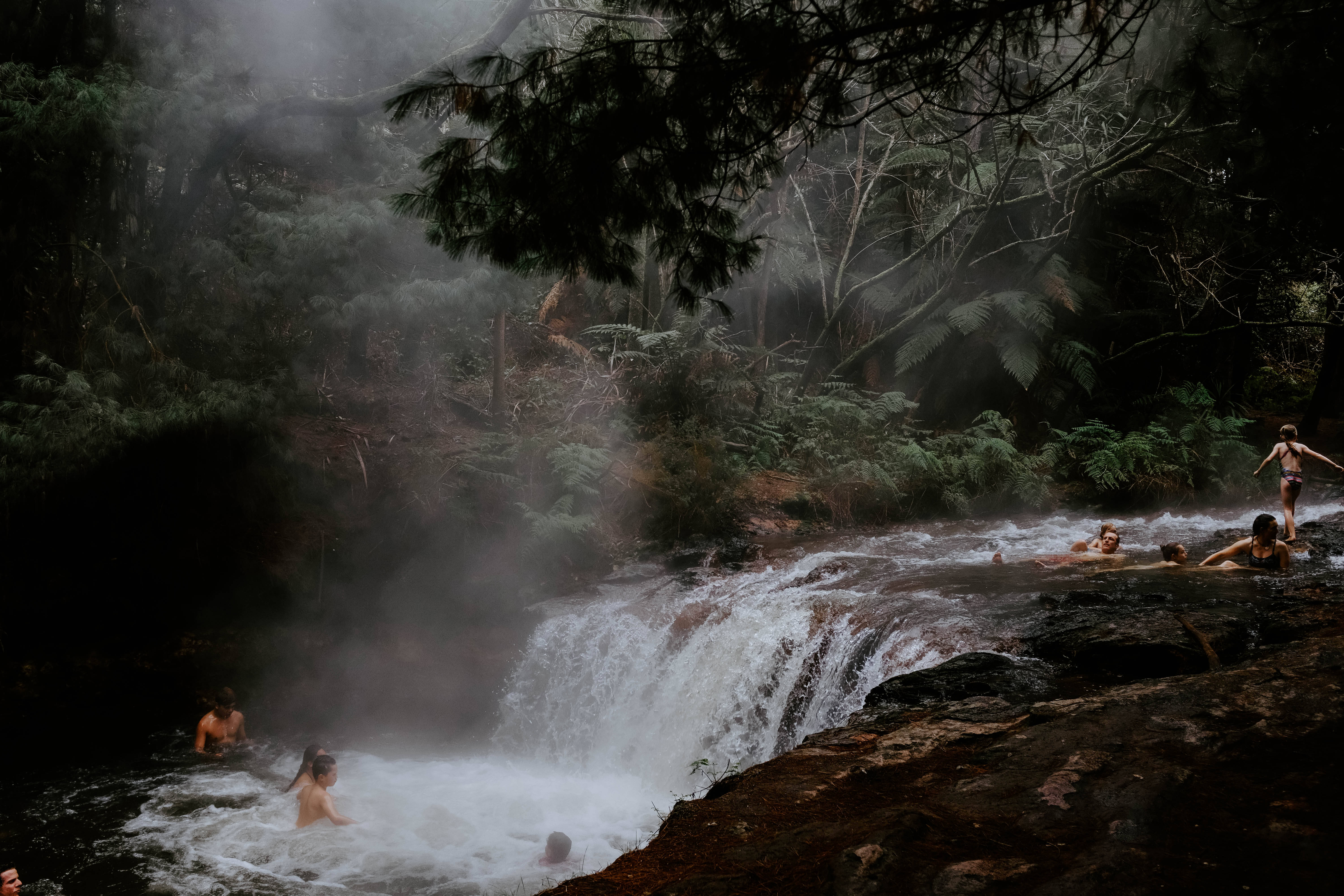 Bosque Neblinoso con Cascadas Fondos de pantalla