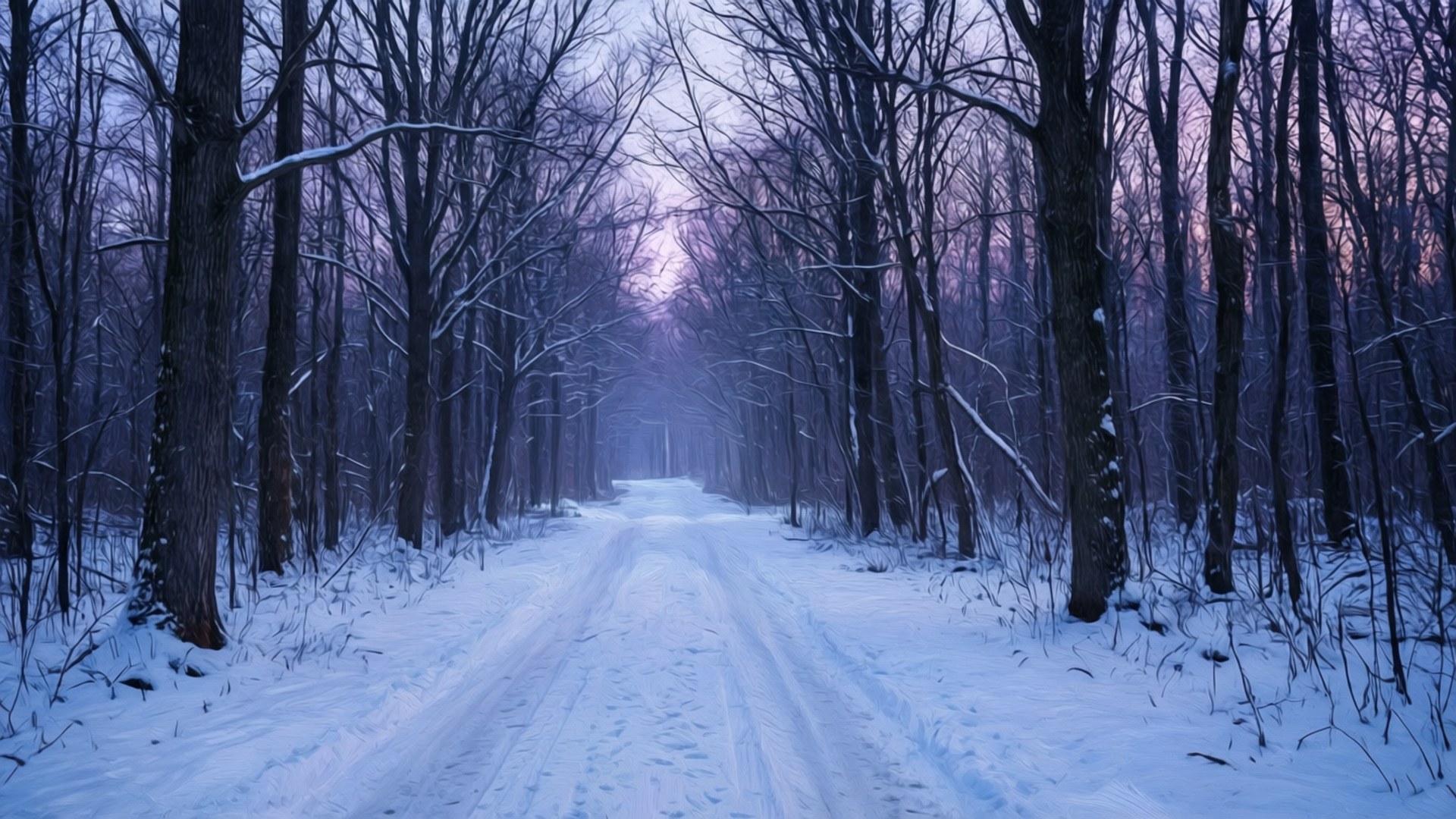 Bosque Nevado al Atardecer Fondos de pantalla
