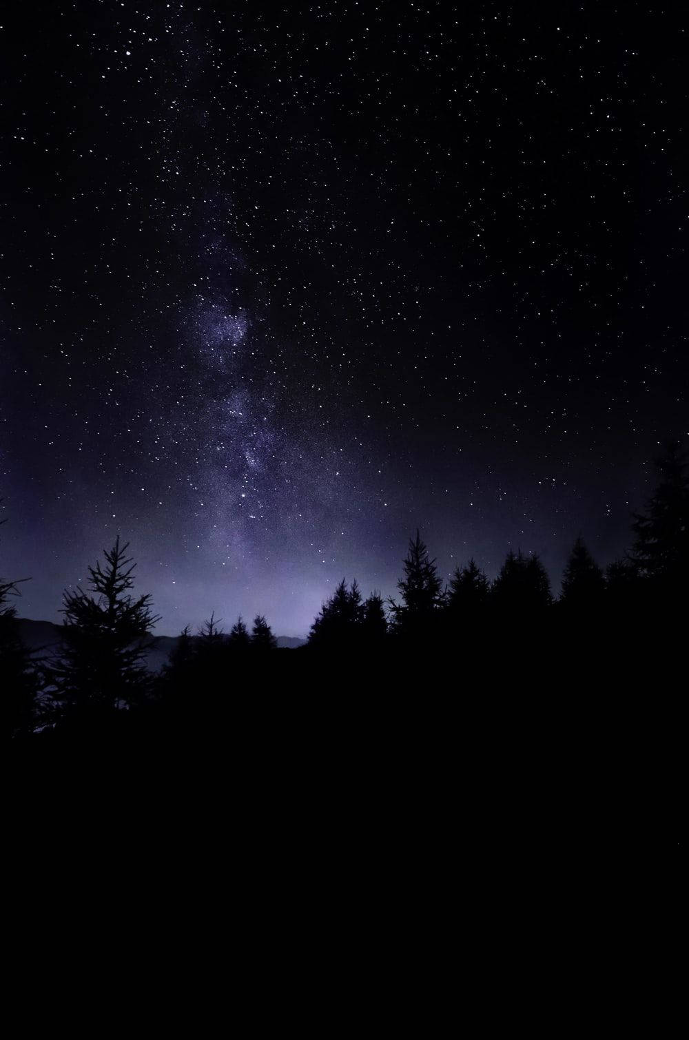 Bosque oscuro natural con cielo estrellado Fondos de pantalla