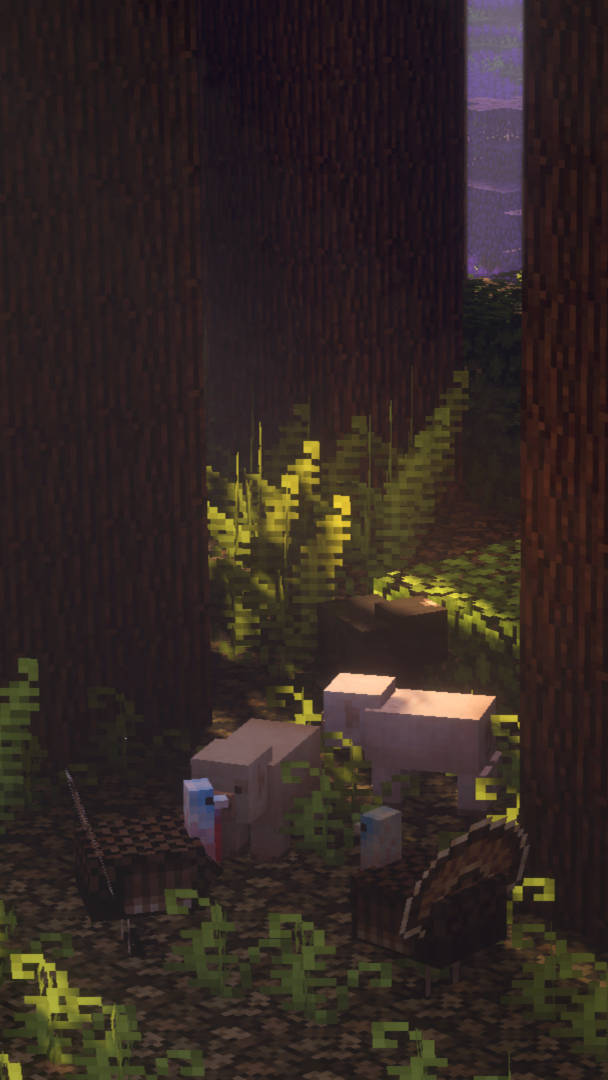Bosque Oscuro Oculto Estético de Minecraft Fondos de pantalla