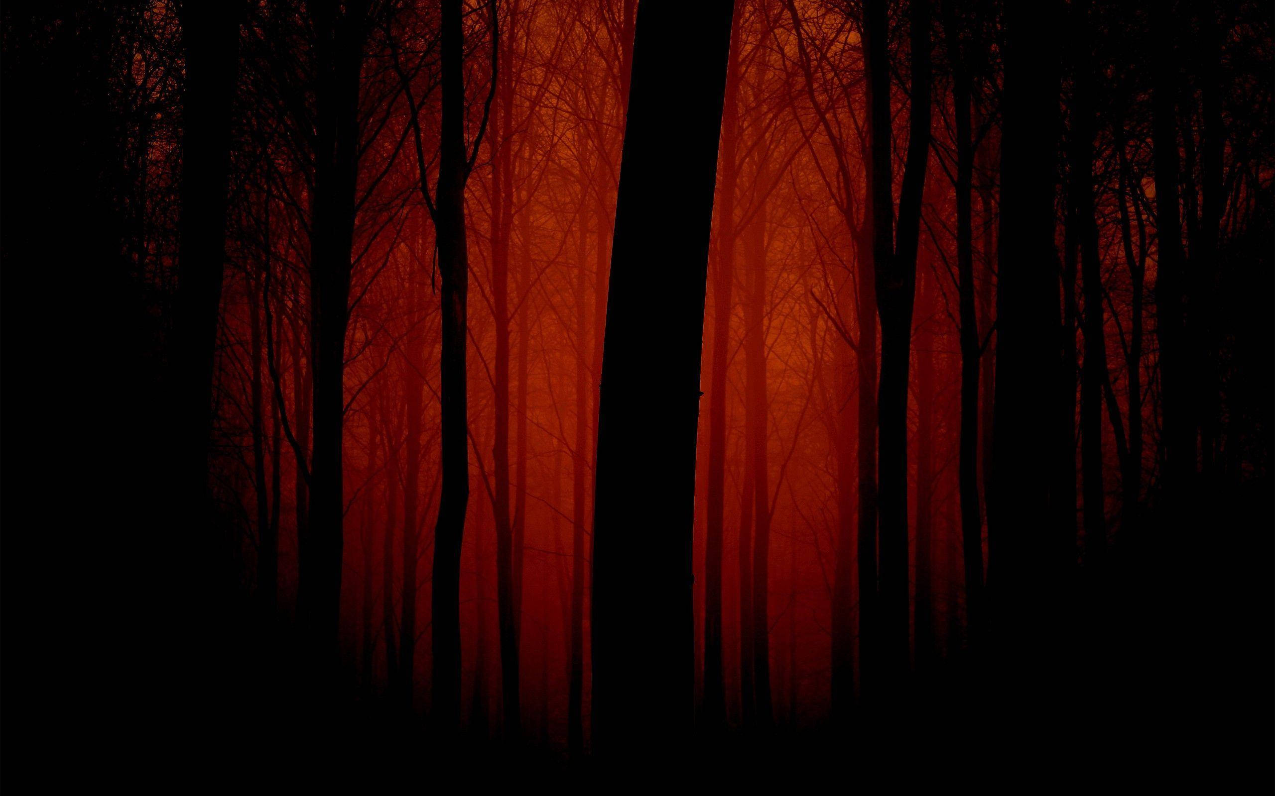 Bosque Rojo Oscuro Fondos de pantalla