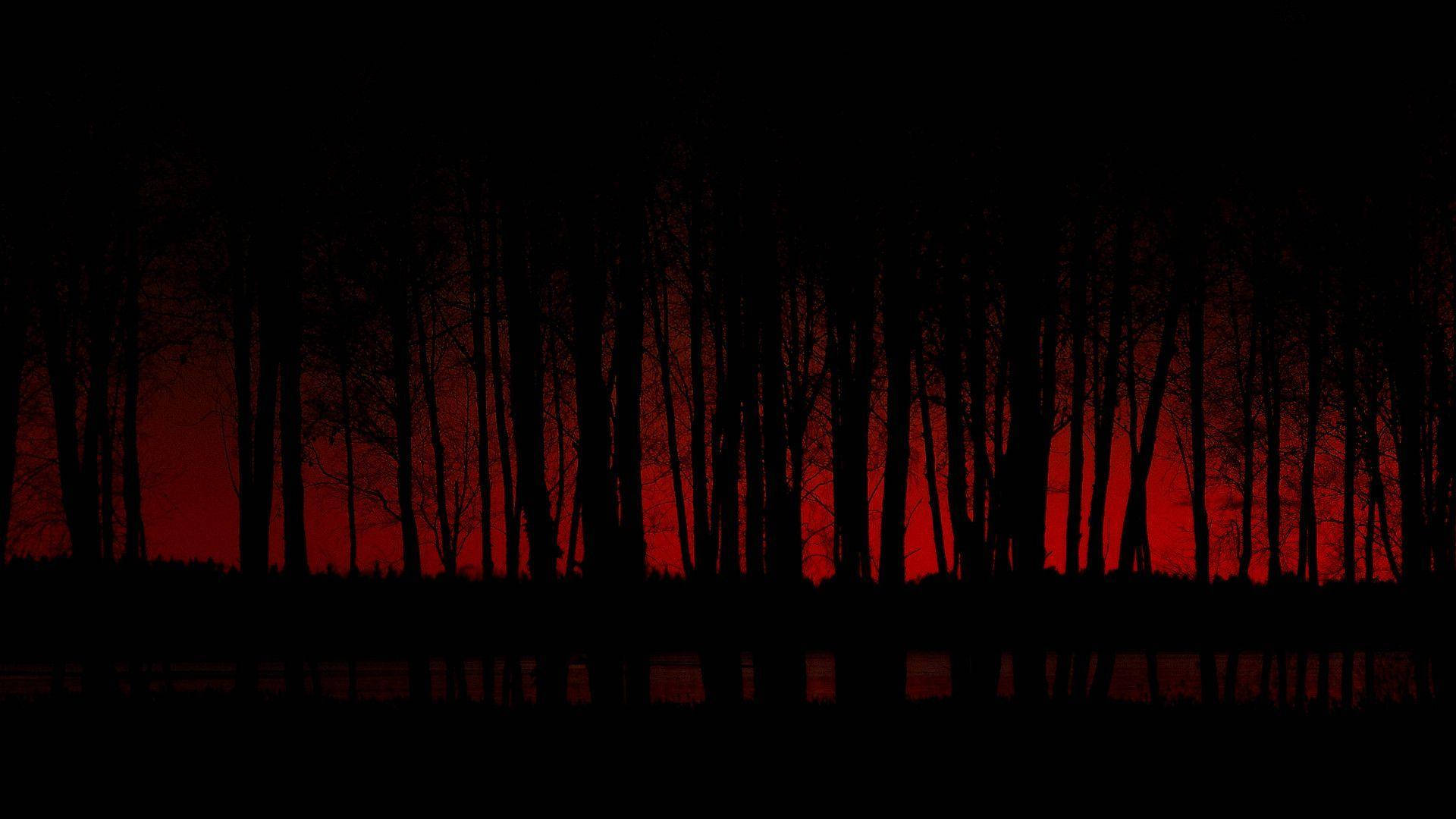 Bosque Rojo Sobre Fondo Negro de Terror Fondos de pantalla