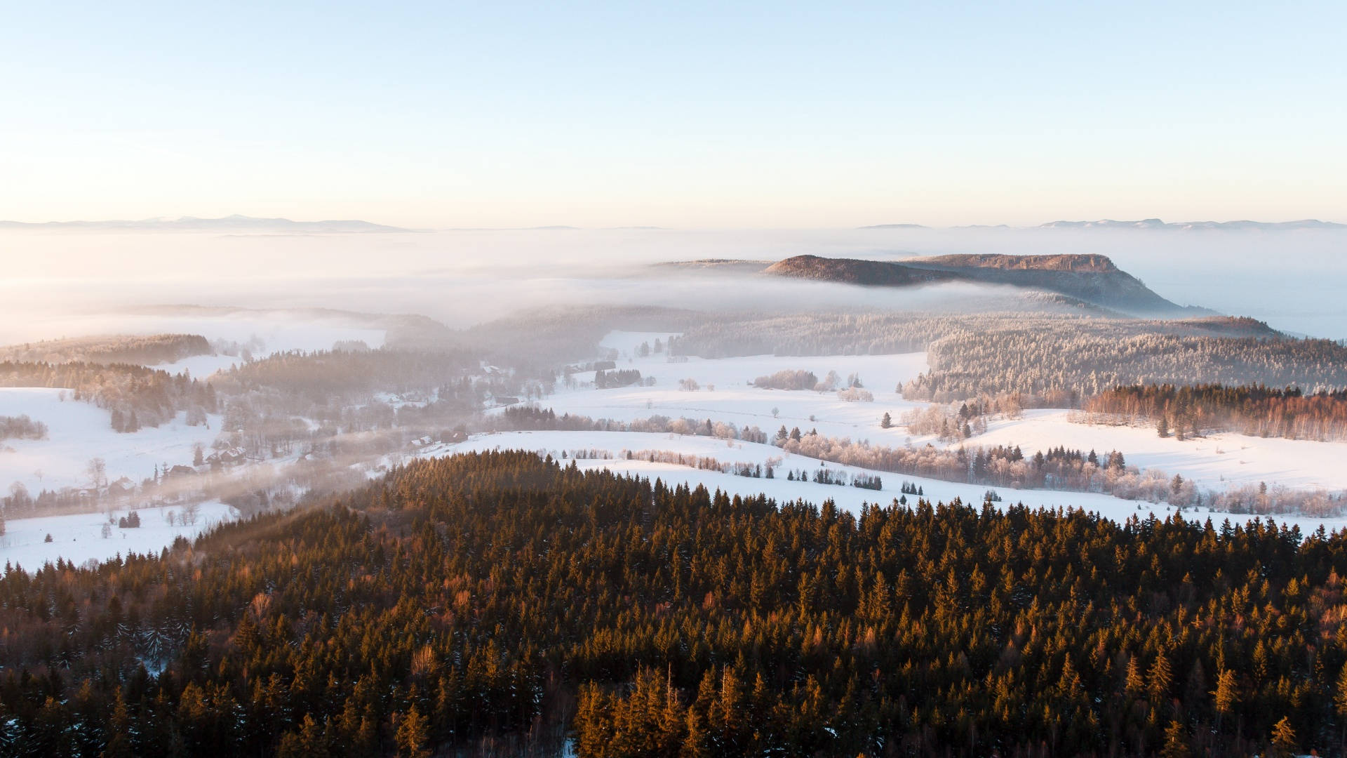 Bosques en Invierno Estética Fondos de pantalla