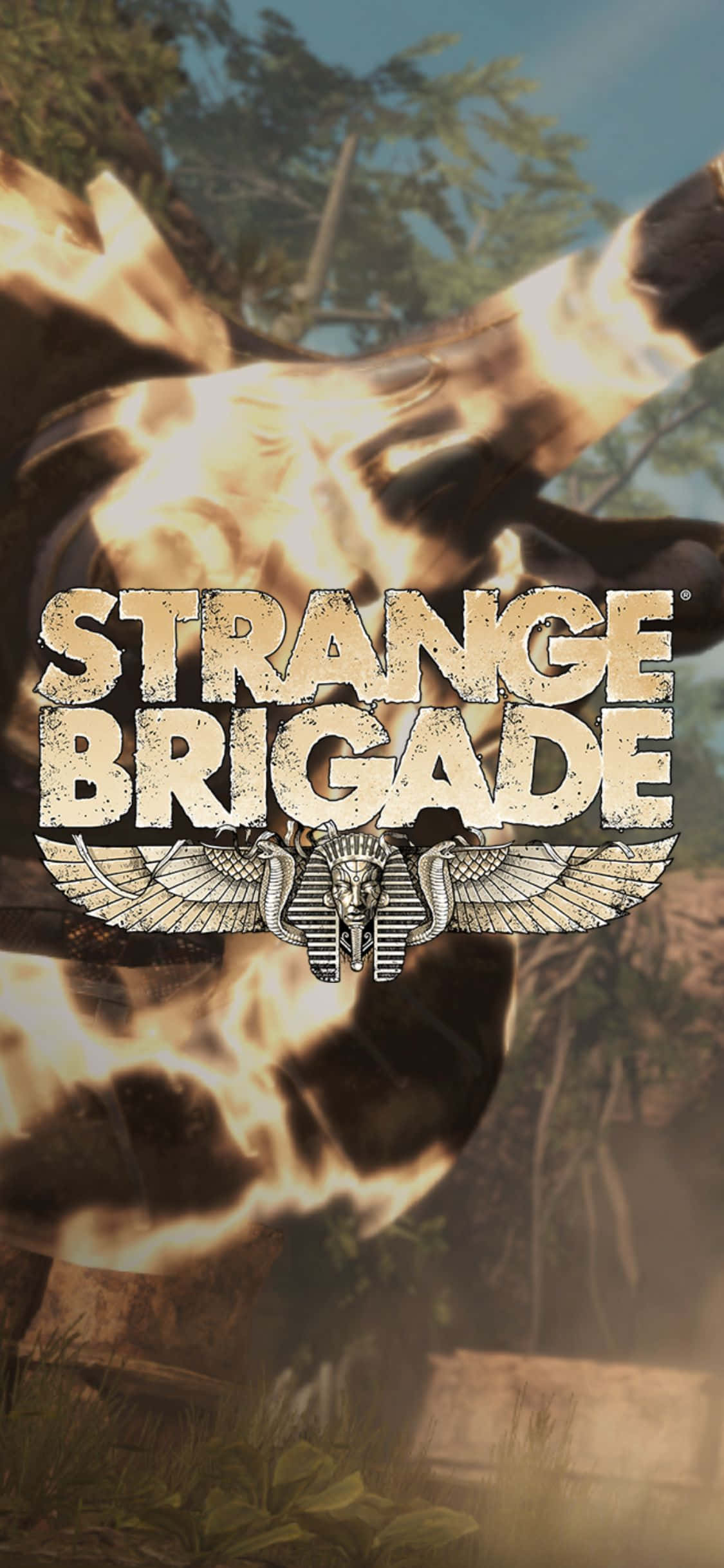 Botella con arma de fuego Fondo de Strange Brigade para iPhone X Fondos de pantalla